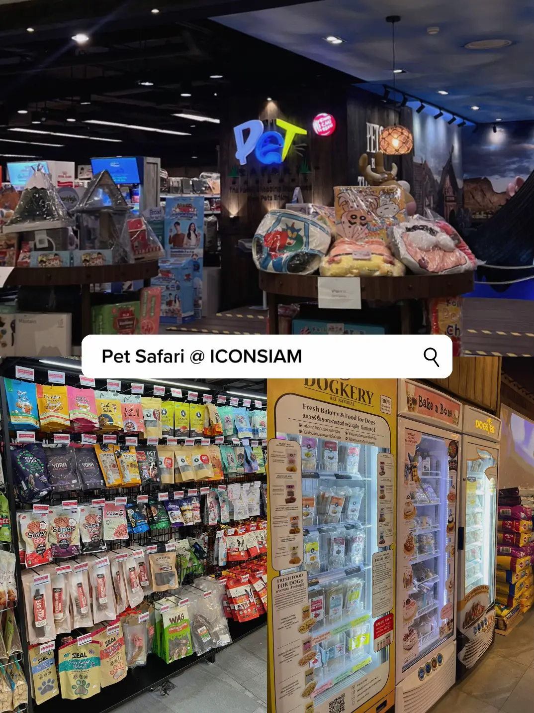 TRAVEL Pet Supplies in Bangkok Gallery posted by Tams