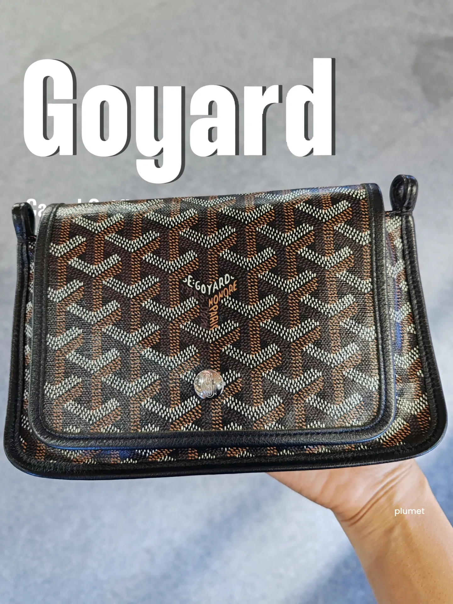Blessed Designer - Original A3 edition (Gucci, Goyard and Louis Vuitto –  Gold Bird Gallery