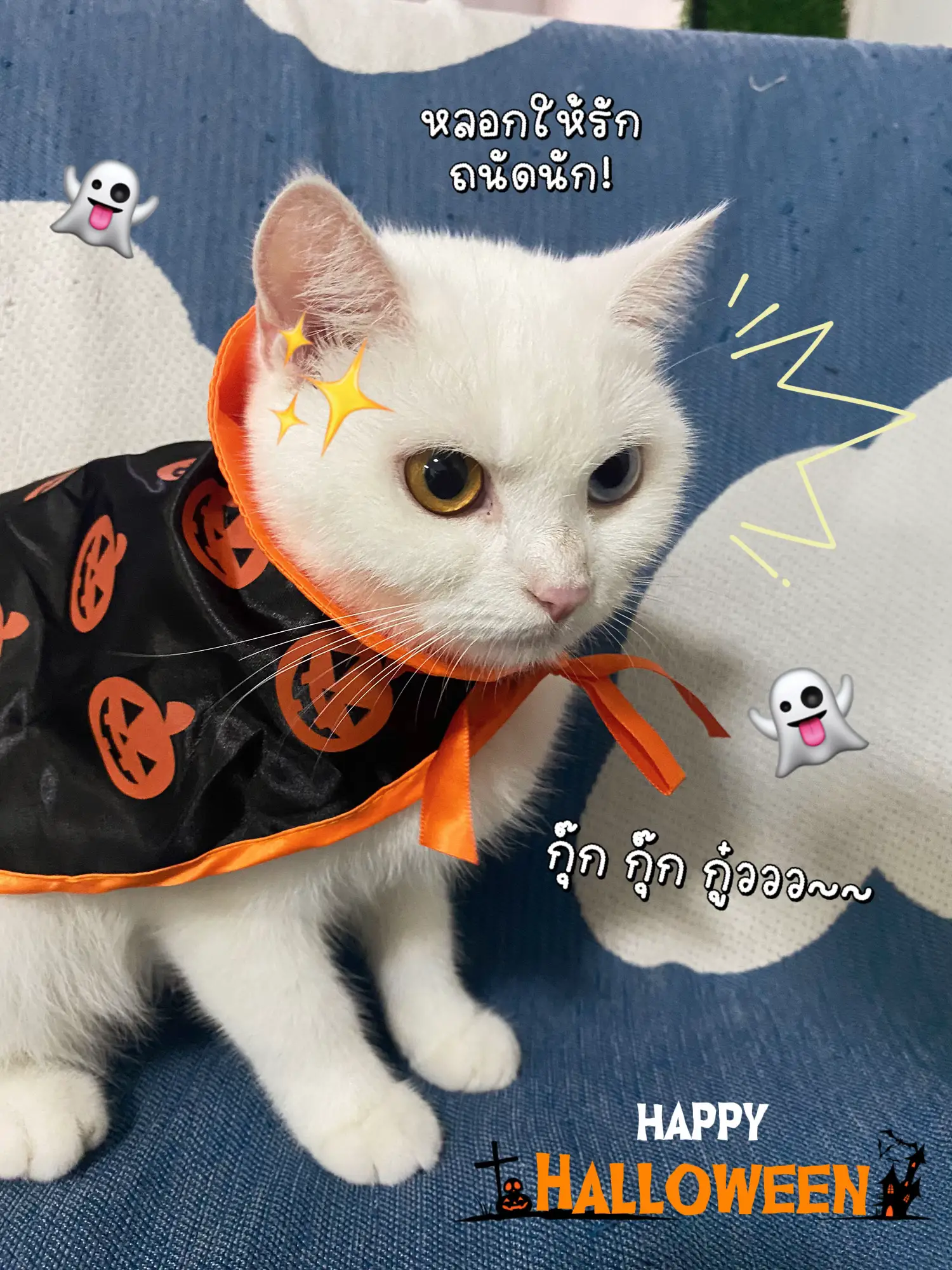 このハロウィン。間違いありません。私の母。Fウェイティングスーツ。🔥😹✨🎃 | kadukkaiが投稿したフォトブック | Lemon8