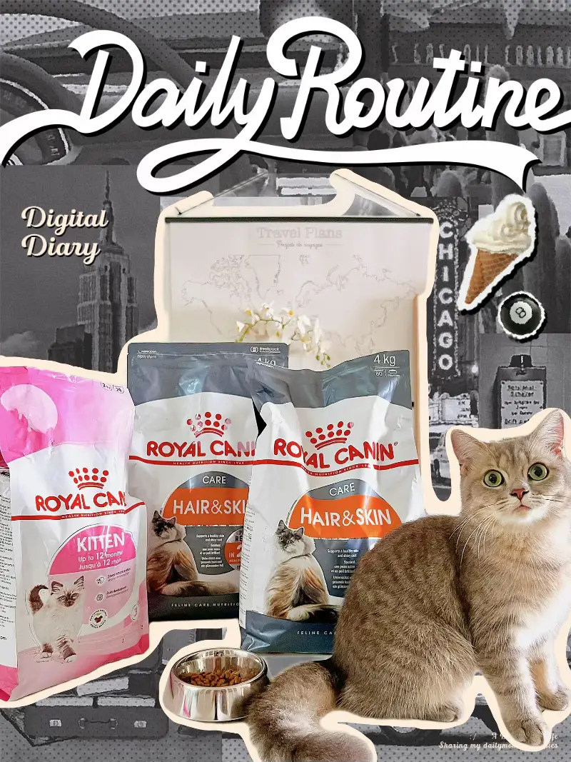 Royal canin hotsell untuk kitten