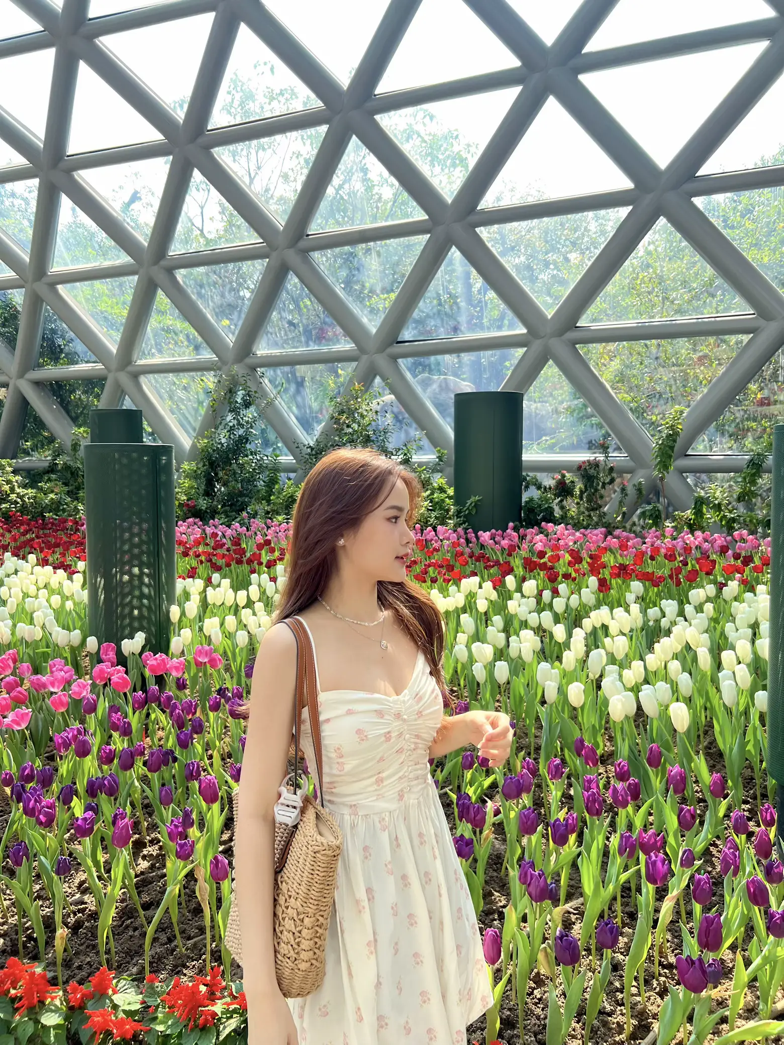 ถ่ายรูปสุด Cute กับดอกทิวลิปที่ Miracle of Natural Rayong 🌷