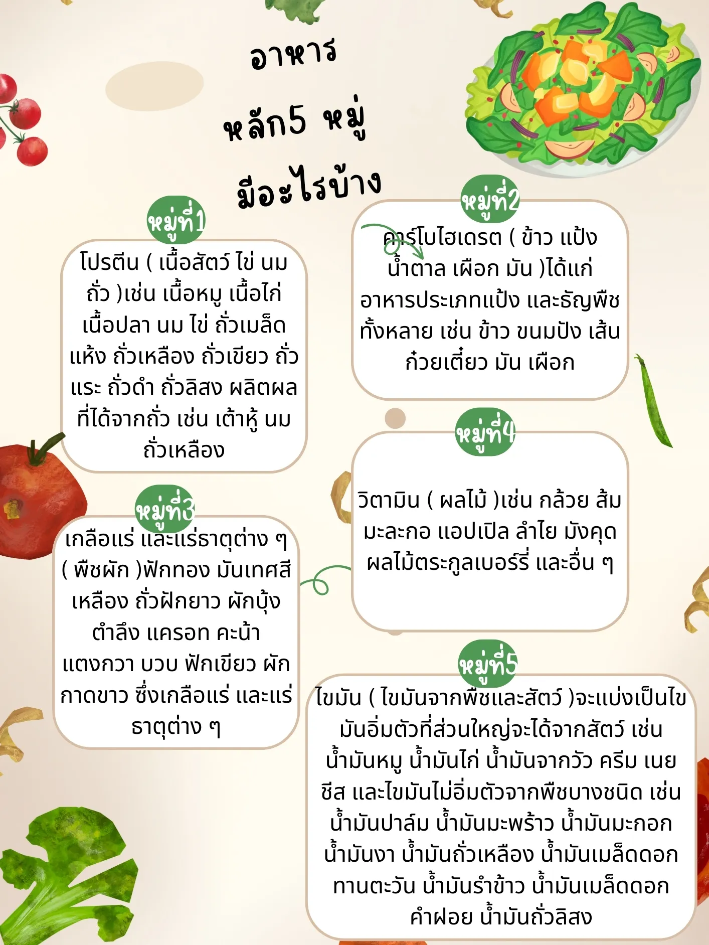 อาหาร 5 หมู่แบ่งกินยังไง - การค้นหาใน Lemon8