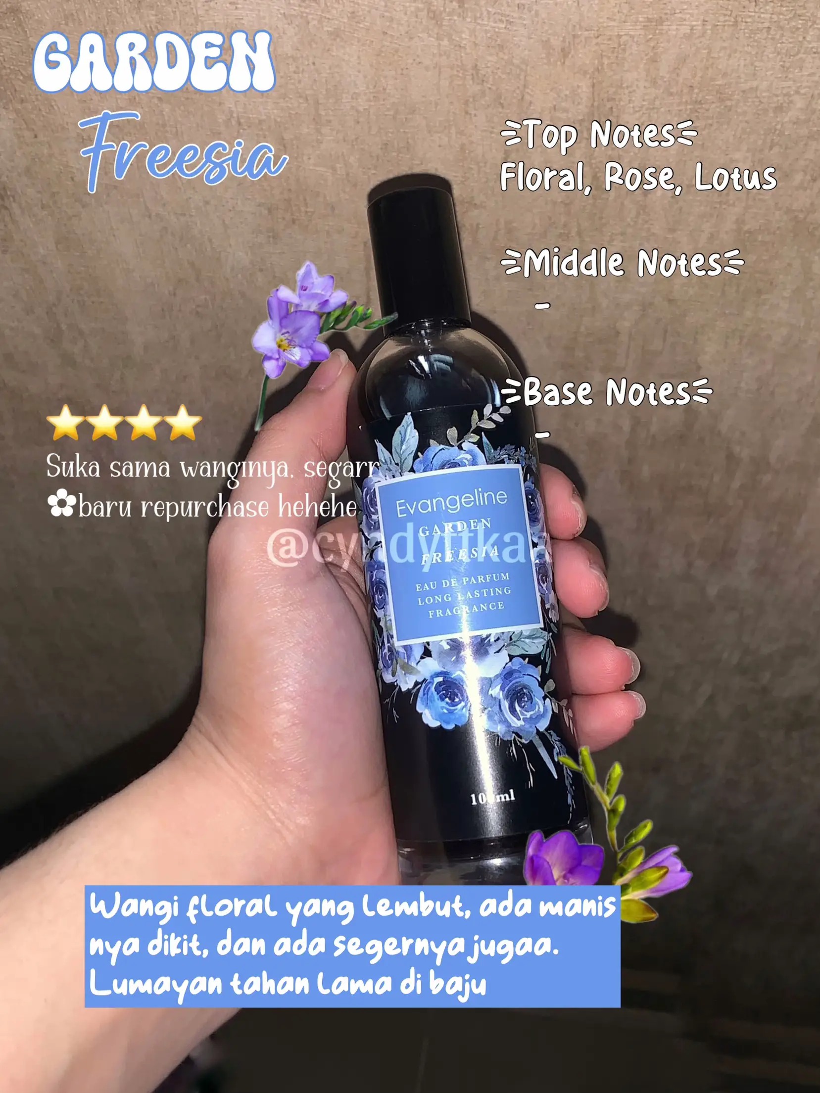 Review parfum evangeline online bloom series