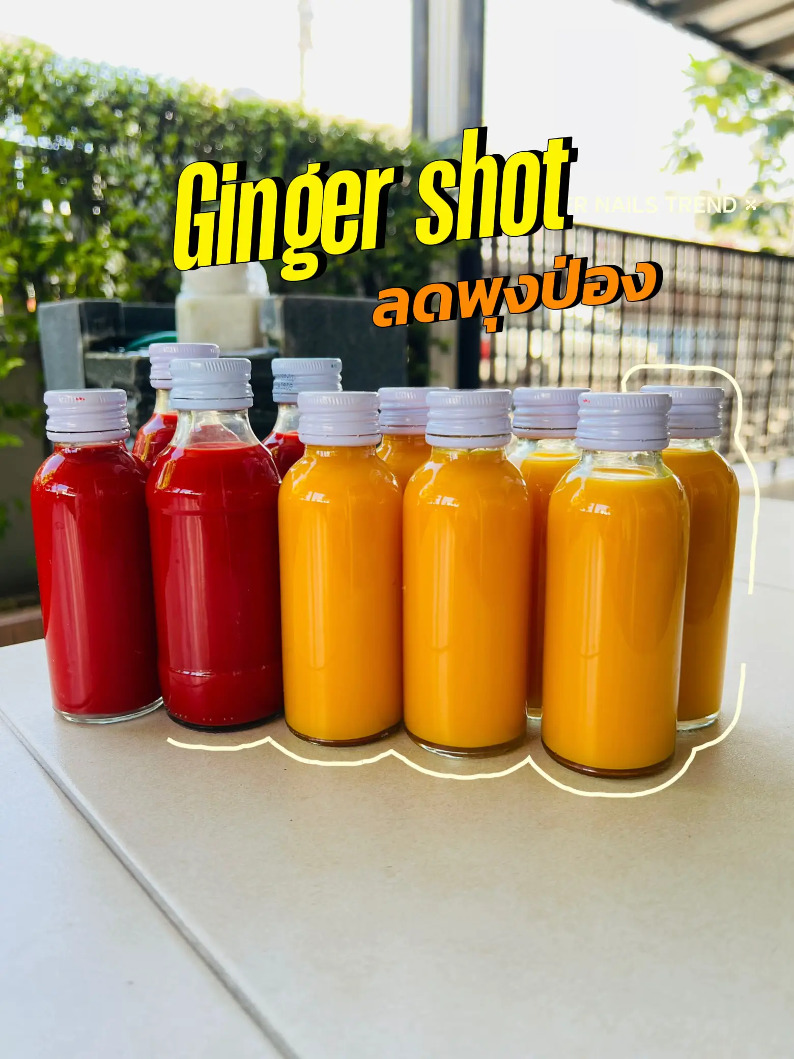 มาทำ Ginger shot กันเถอะ🍹 แกลเลอรีที่โพสต์โดย Pattie.cyp Lemon8