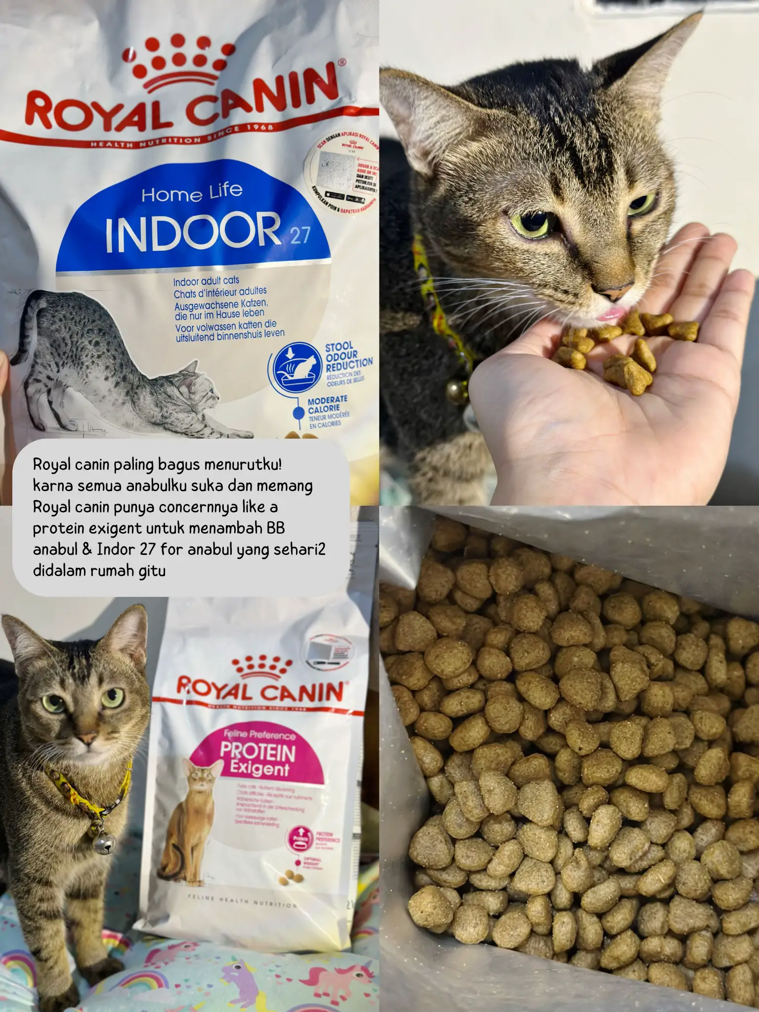 Royal canin shop untuk gemuk