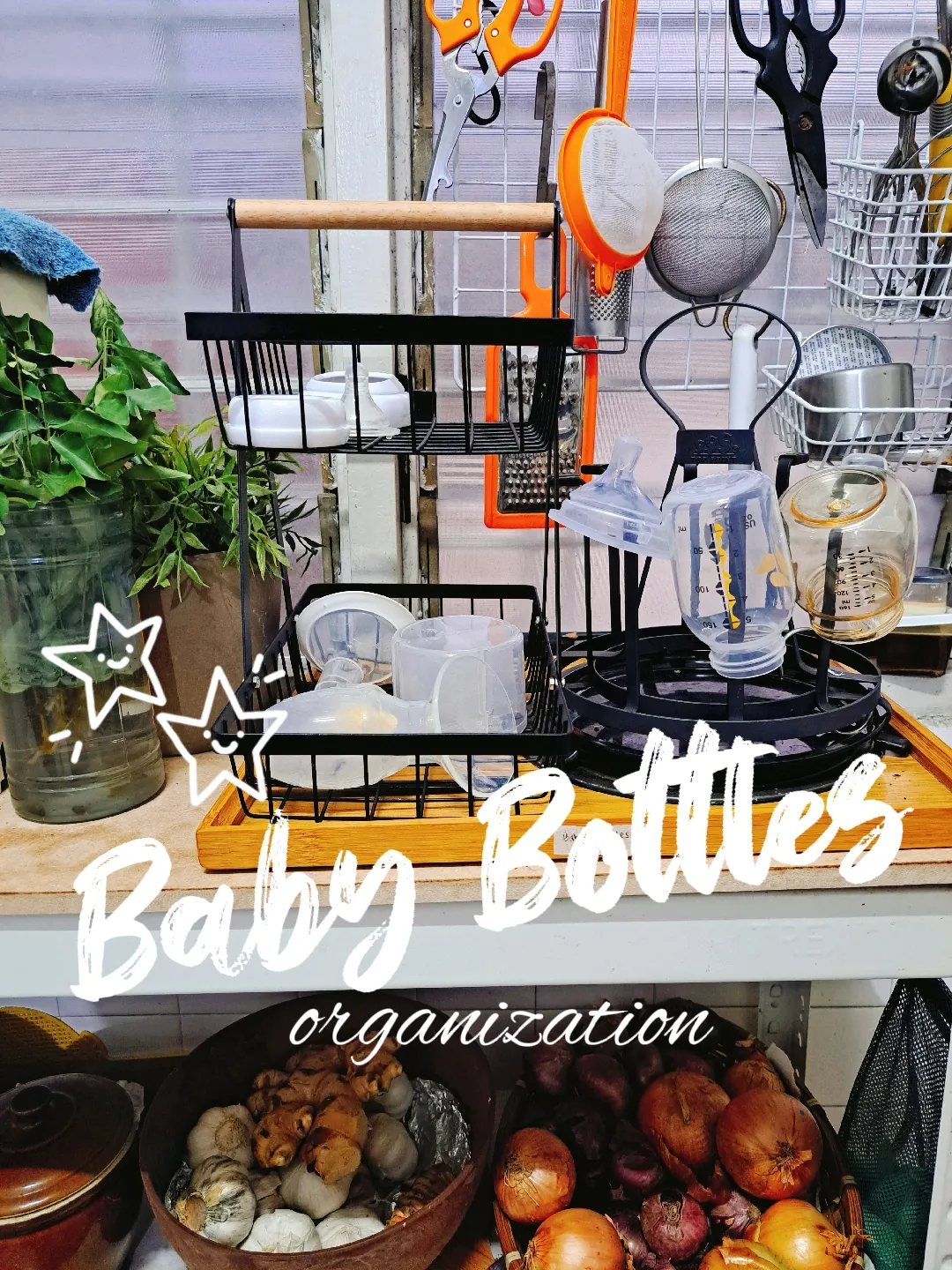Baby bottle organization  Baby bottle organization, Baby bottle