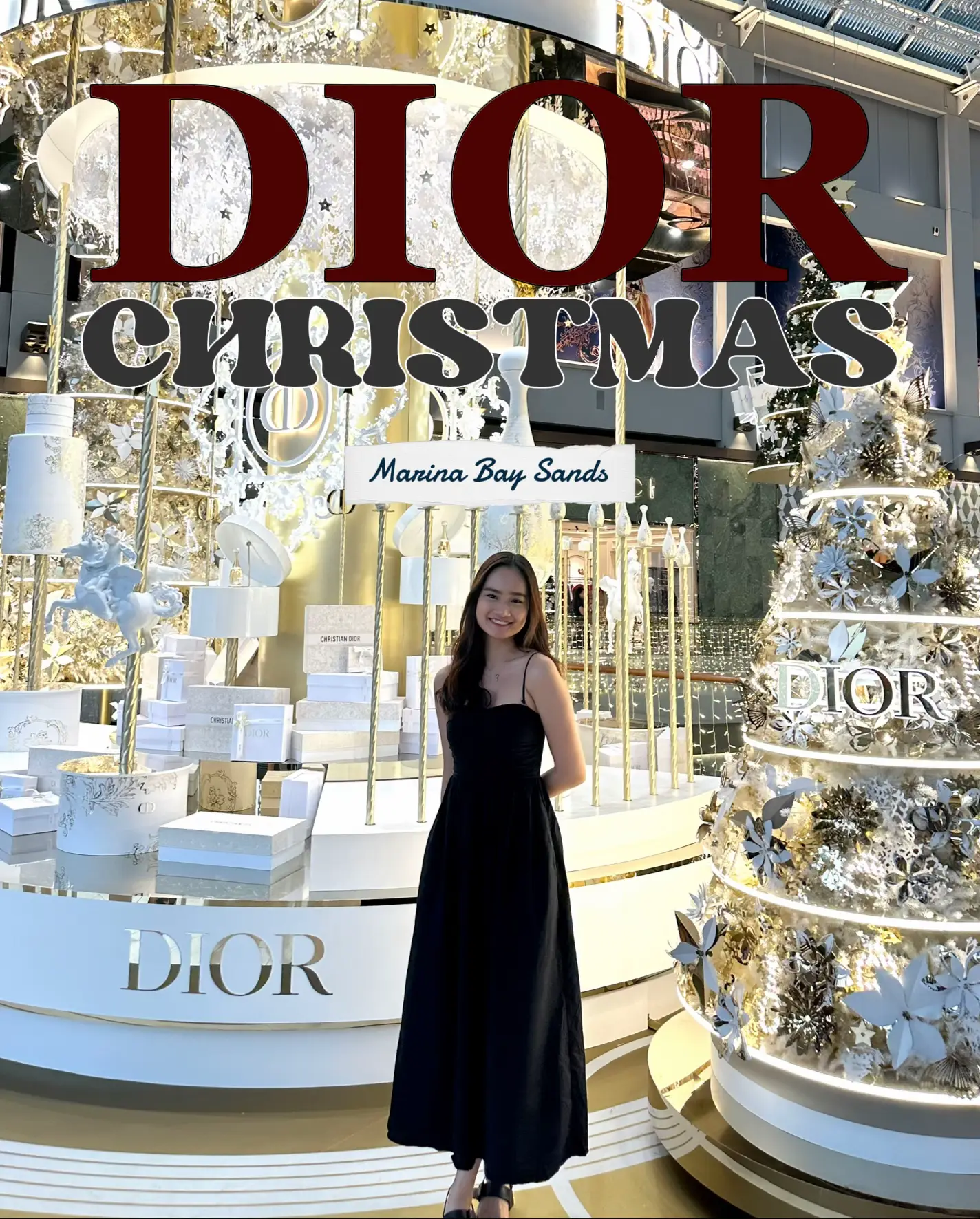 Dior marina outlet mall