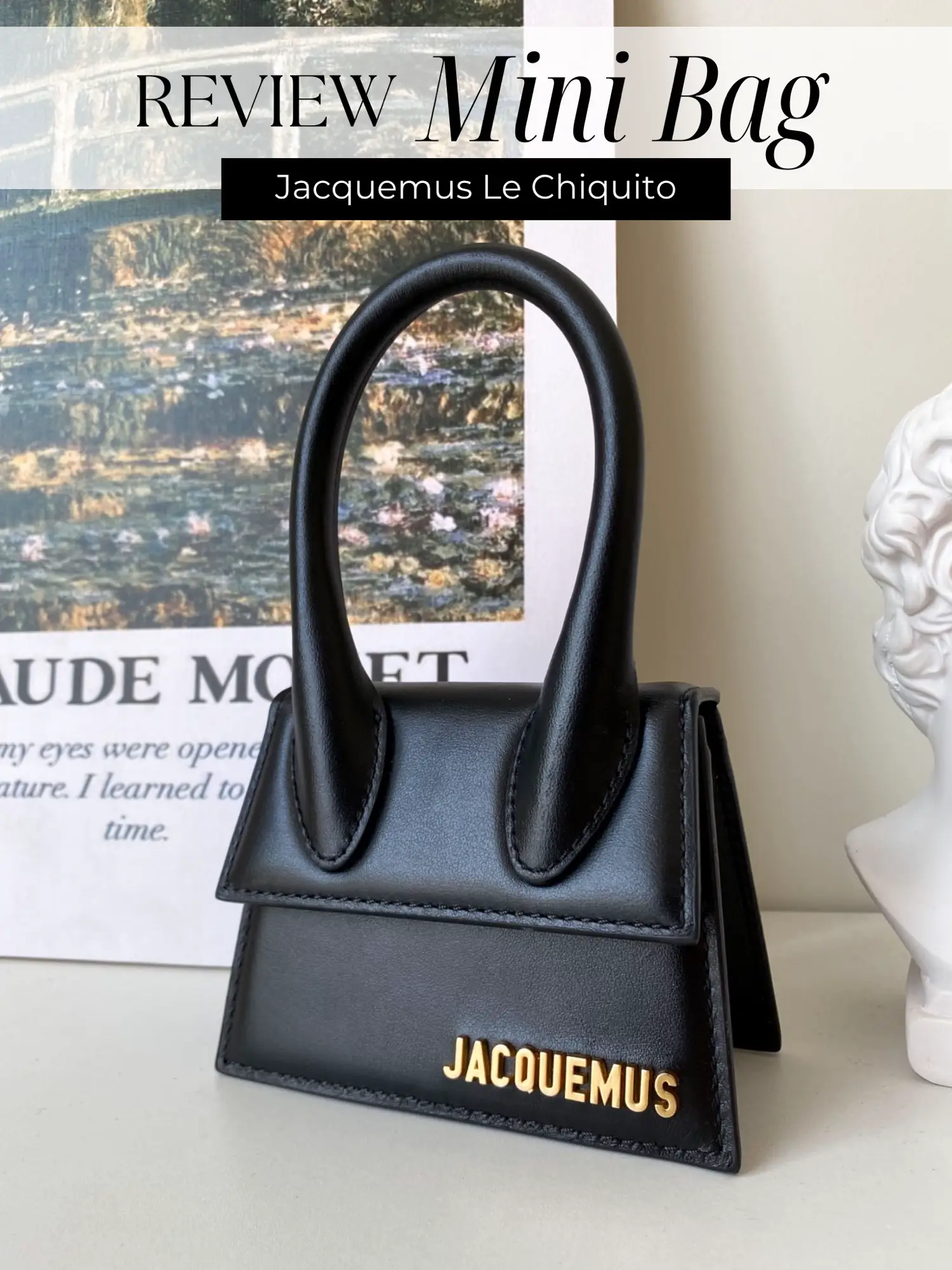 Louis Vuitton Mini Pochette Accessories VS Jacquemus Le Chiquito 
