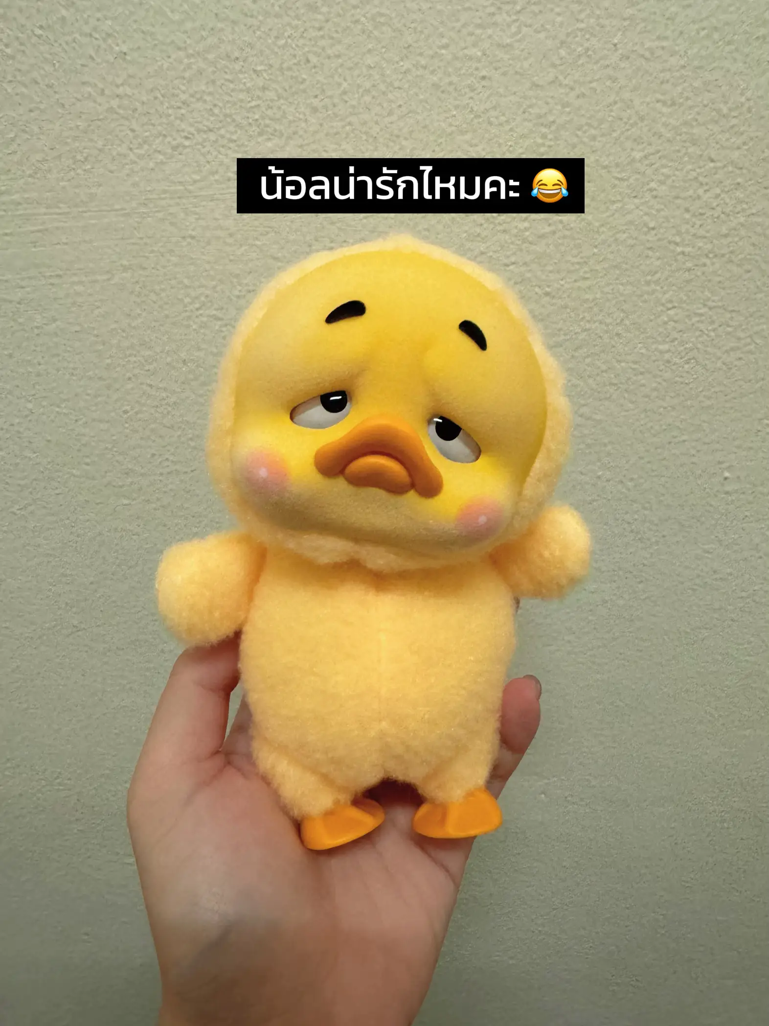 เป็ด Upset Duck - การค้นหาใน Lemon8