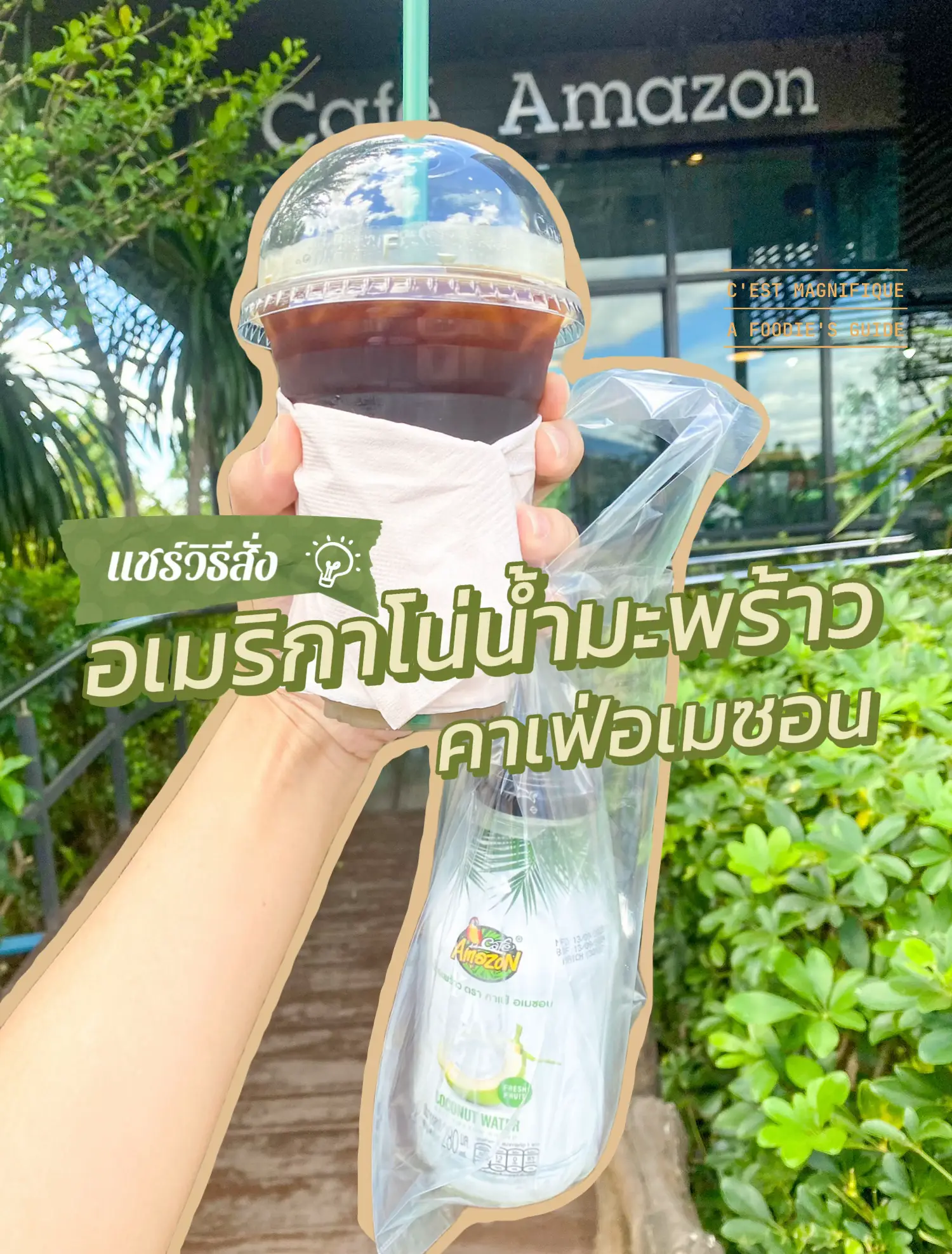 Review of How to Order Americano Coconut Water Amazon Cafe 🦜🥤🥥