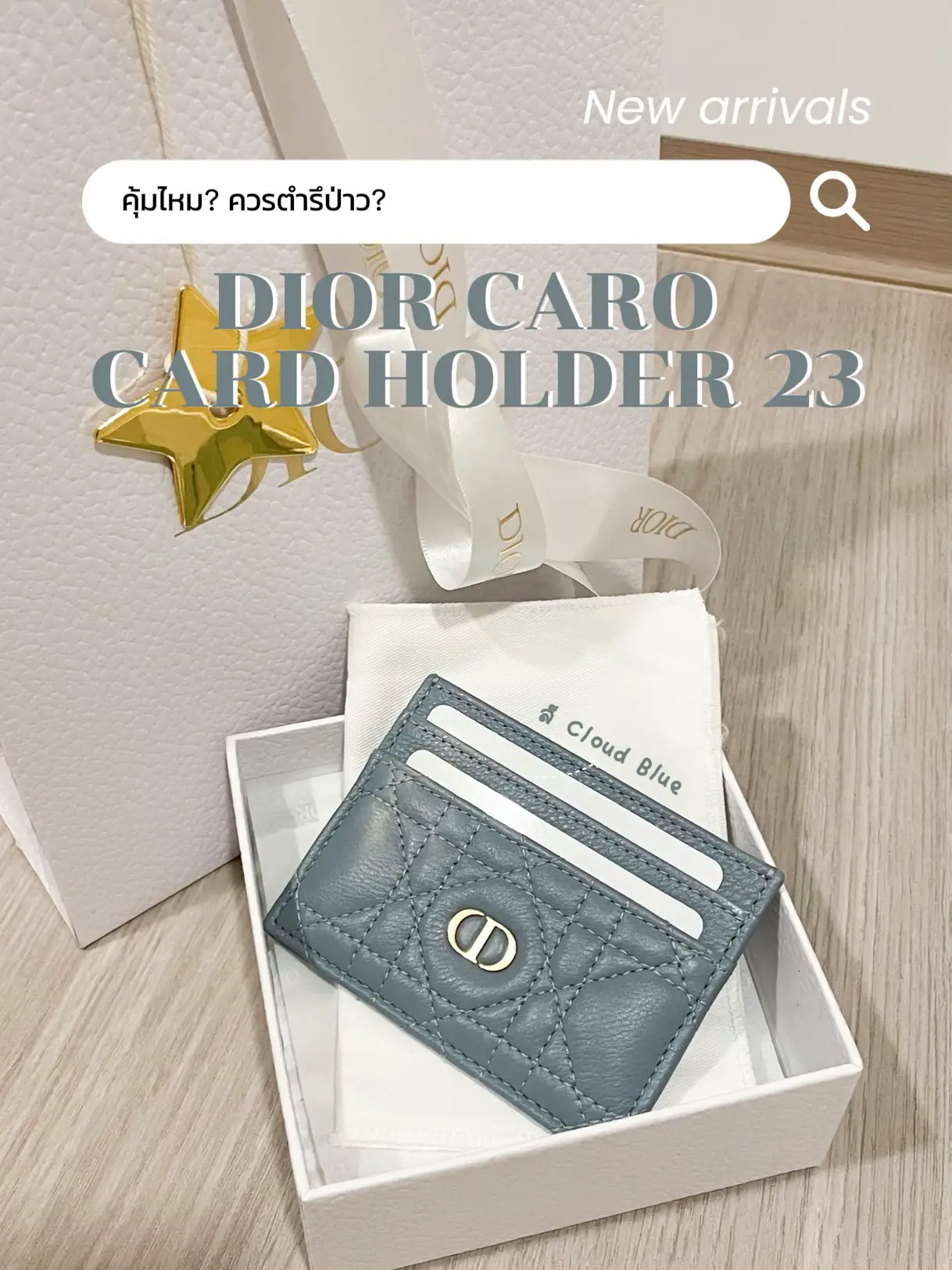 Dior diorama card on sale holder