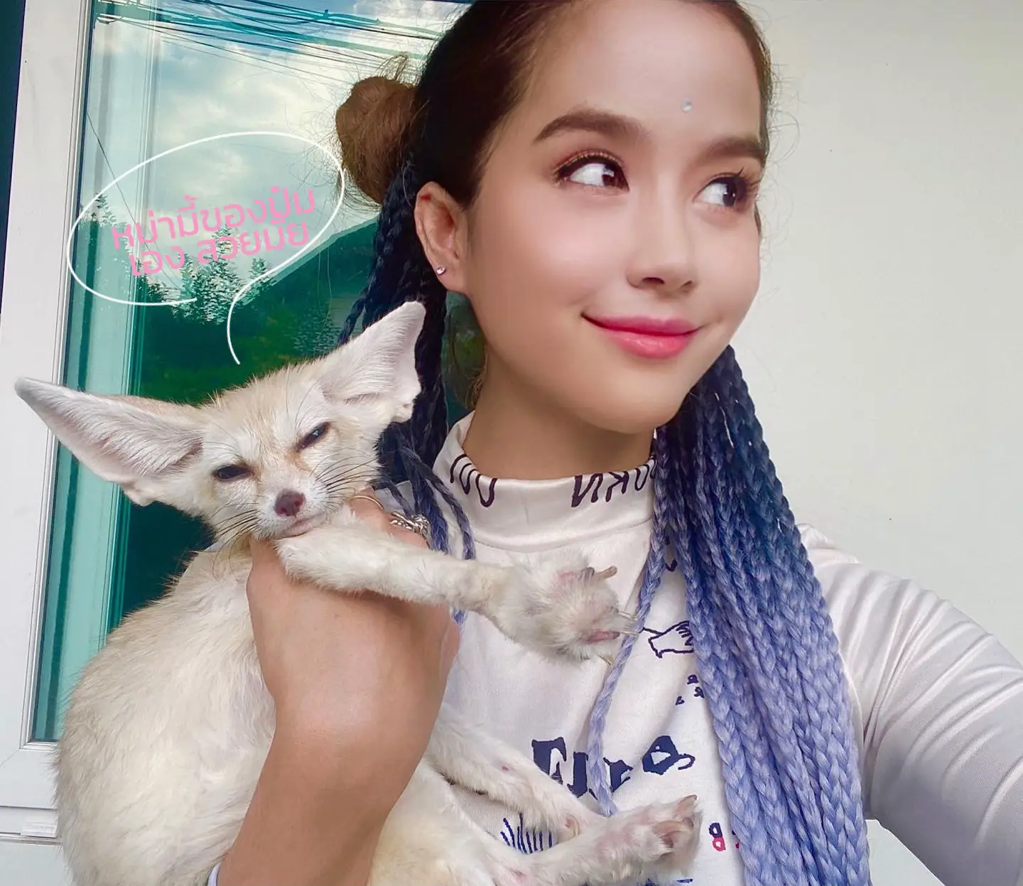 จิ้งจอกน้อยจอมป่วน ︎₊ ⊹Fennec fox | แกลเลอรีที่โพสต์โดย Tarinda💚🌌🦋🌠🪐👑👽ᵕ