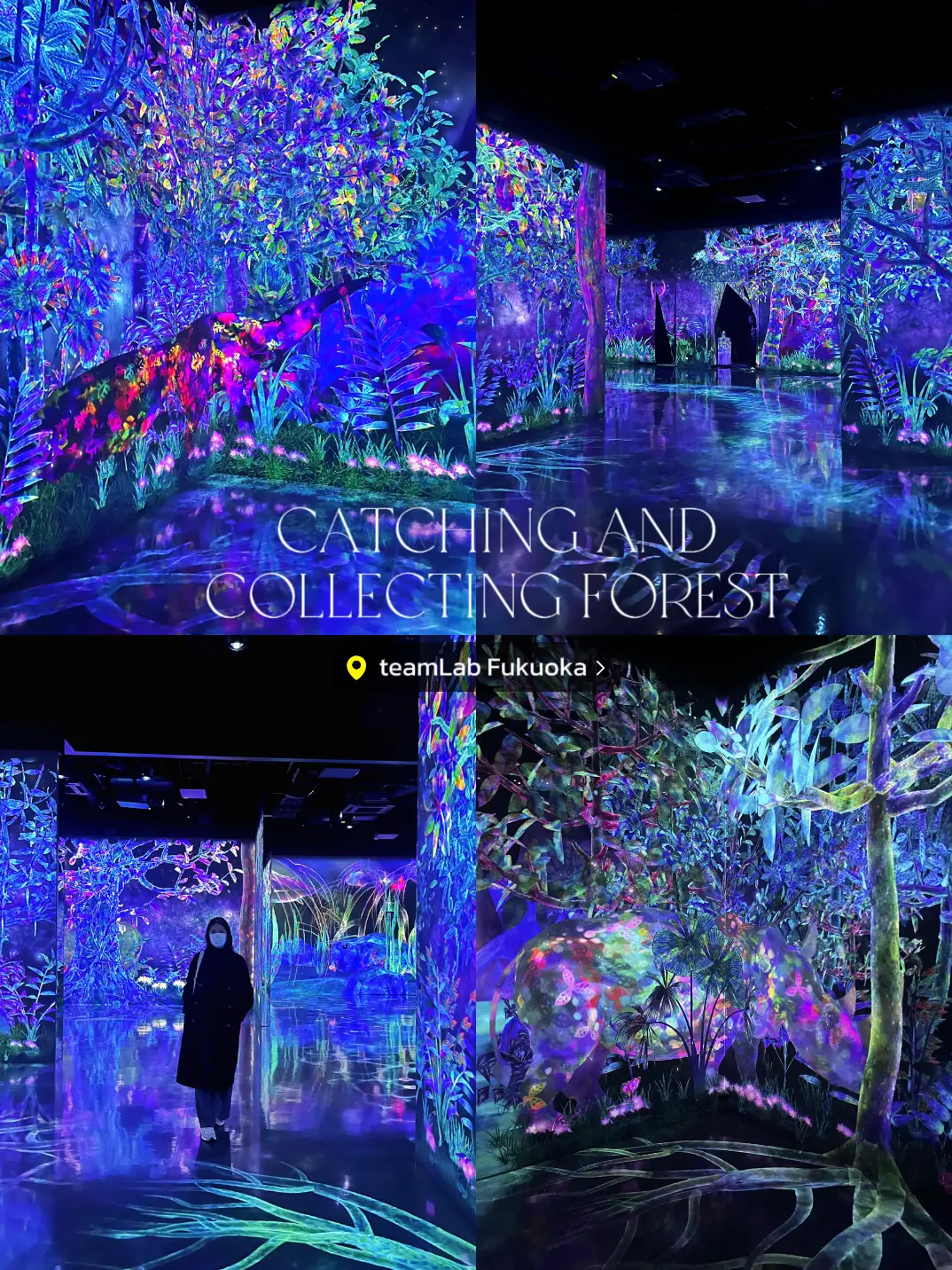 🇯🇵 Fukuoka TeamLab Forest Fukuoka ⭐ | Gallery posted by veenadiary | Lemon8