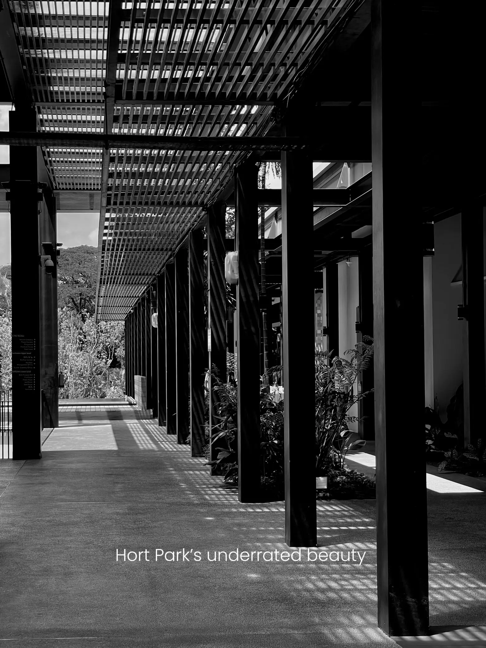 quiet-walking-trail-for-an-intimate-v-day-gallery-posted-by-nat