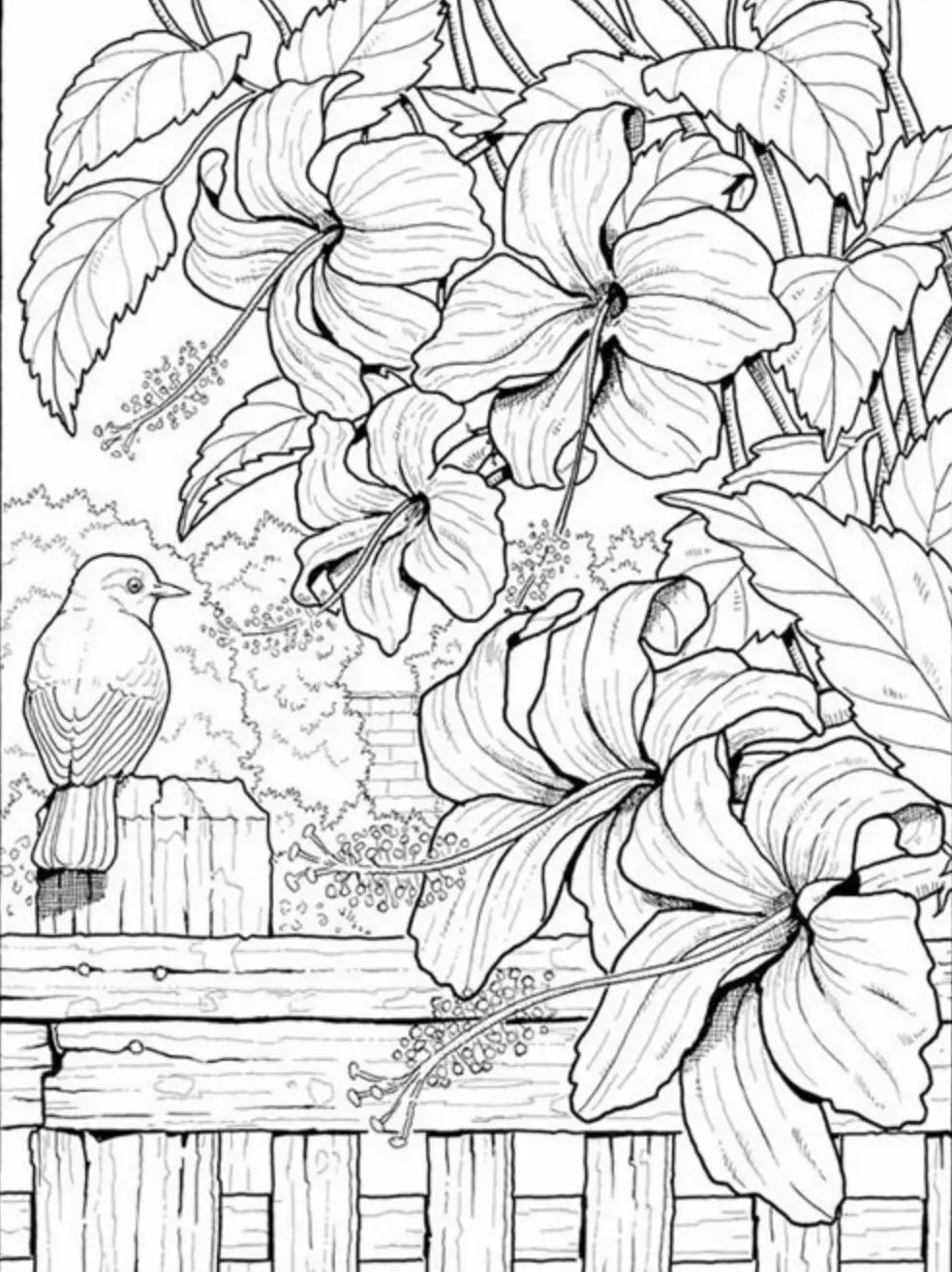 Flowers Coloring Book for Women, Relaxing and Stress Relief Coloring Pages  for Adults, Beautiful Botanical Illustrations. PDF, PNG for iPad 