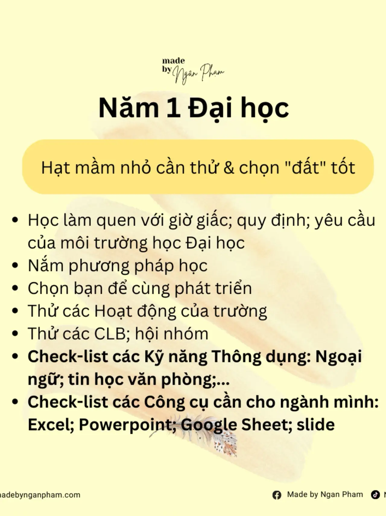 Sinh viên năm 4 nên làm gì?