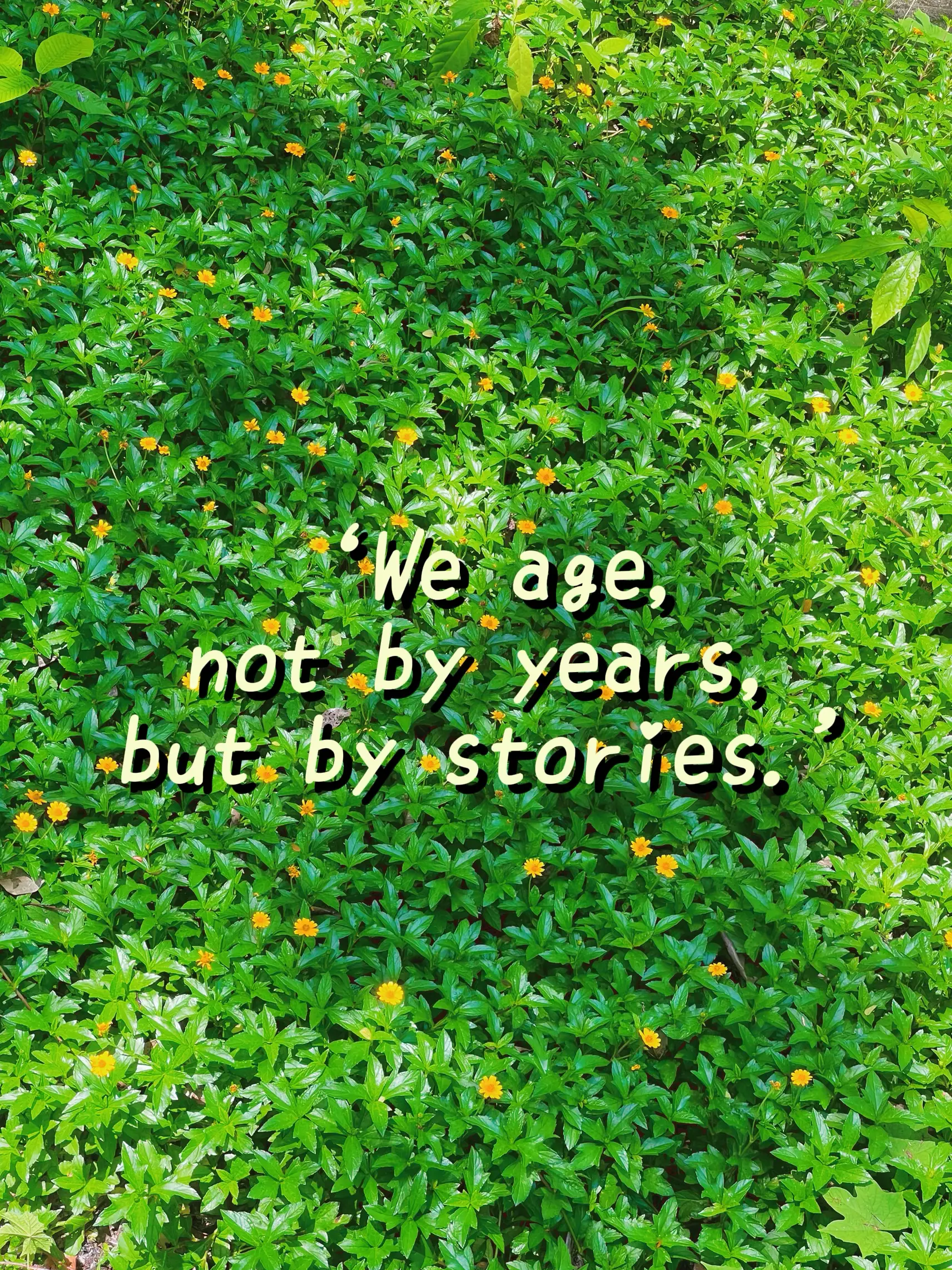  we age not by years but by stories 