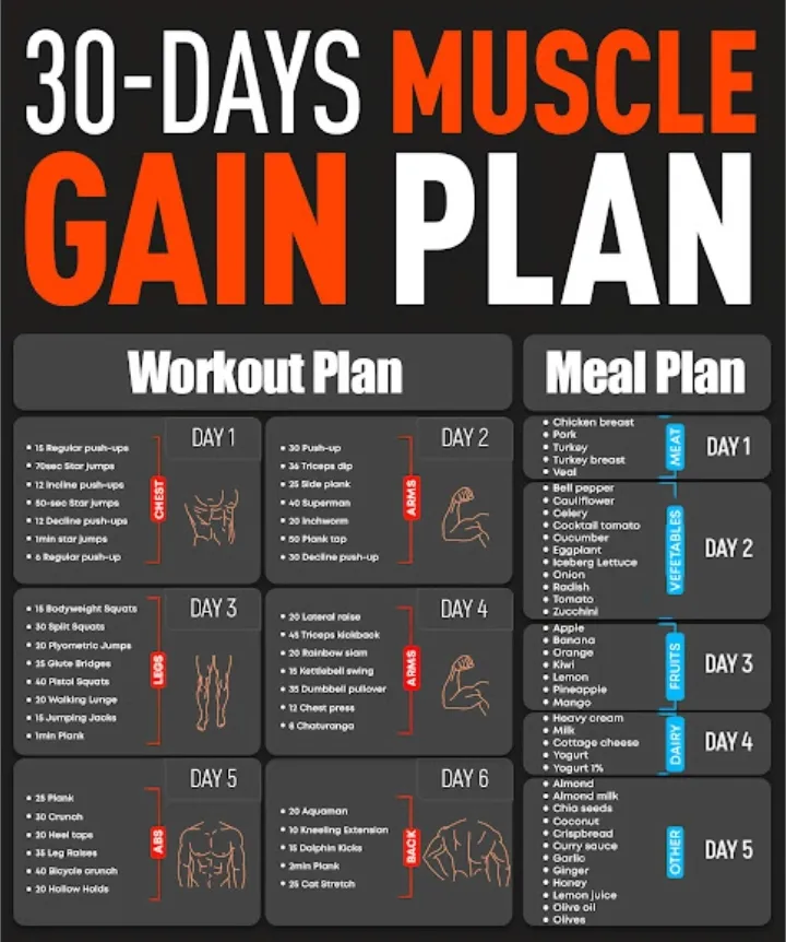 30 day workout plan to gain muscle sale