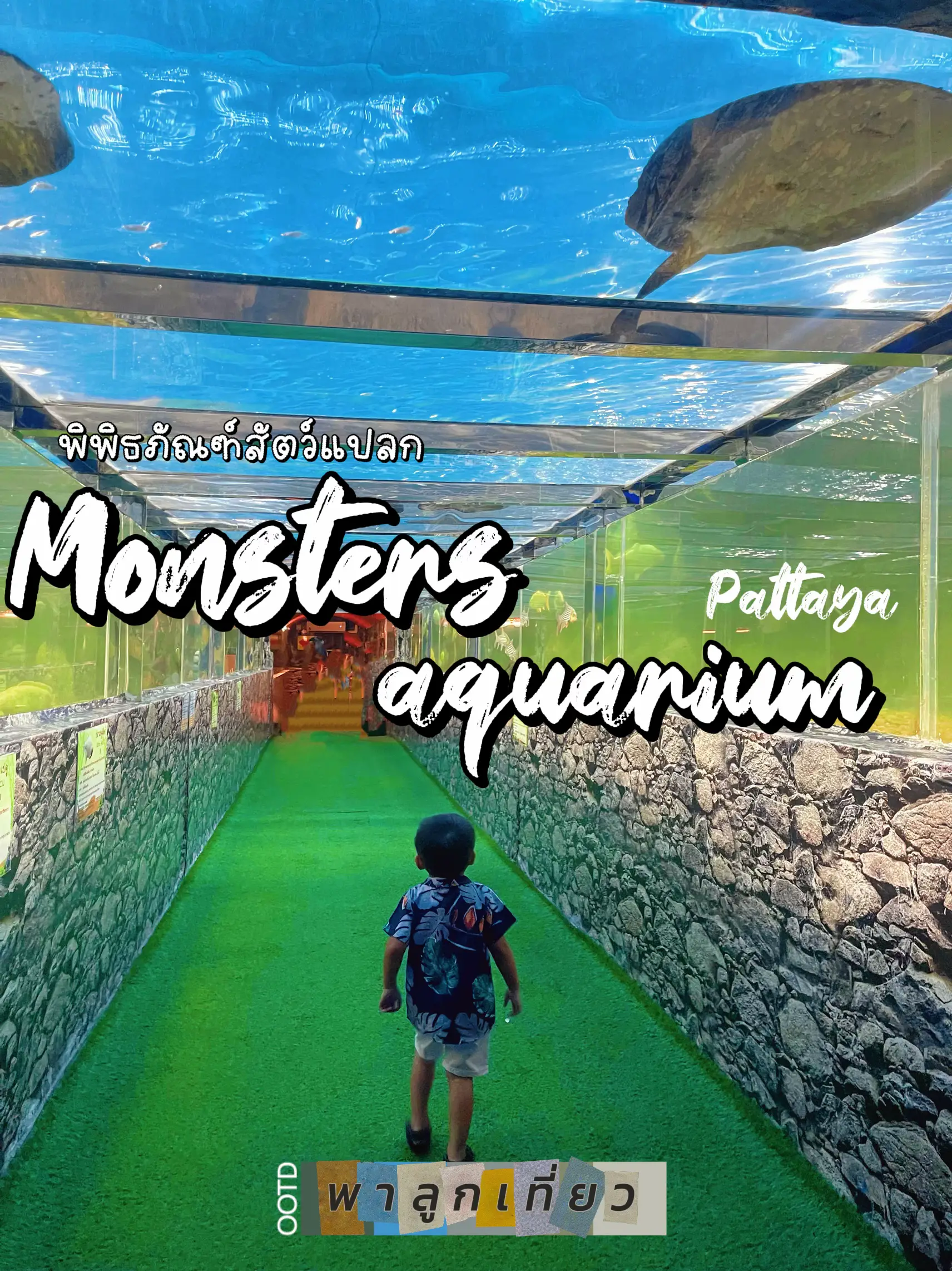 🦖 monsters aquarium pattaya พิพิธภัณฑ์สัตว์แปลก 🦉🐿️🎋 | แกลเลอรีที่โพสต์ ...