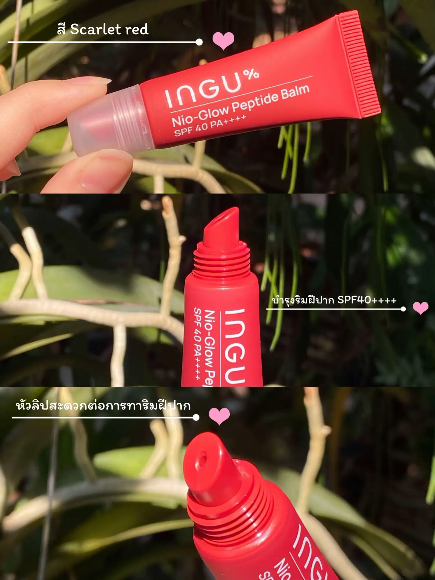 รีวิวลิป INGU💄 ลิปปาล์มบำรุงริมฝีปากสีสวยในเวลานี้ | แกลเลอรีที่โพสต์ ...