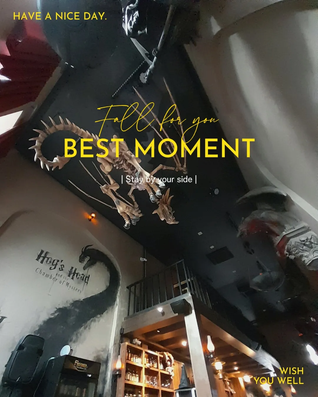 𝐻𝑂𝐺’𝑆 𝐻𝐸𝐴𝐷 𝑃𝐻𝑈𝐾𝐸𝑇 🧙🏻‍♂️ แกลเลอรีที่โพสต์โดย baiifern.🌿🍭 Lemon8