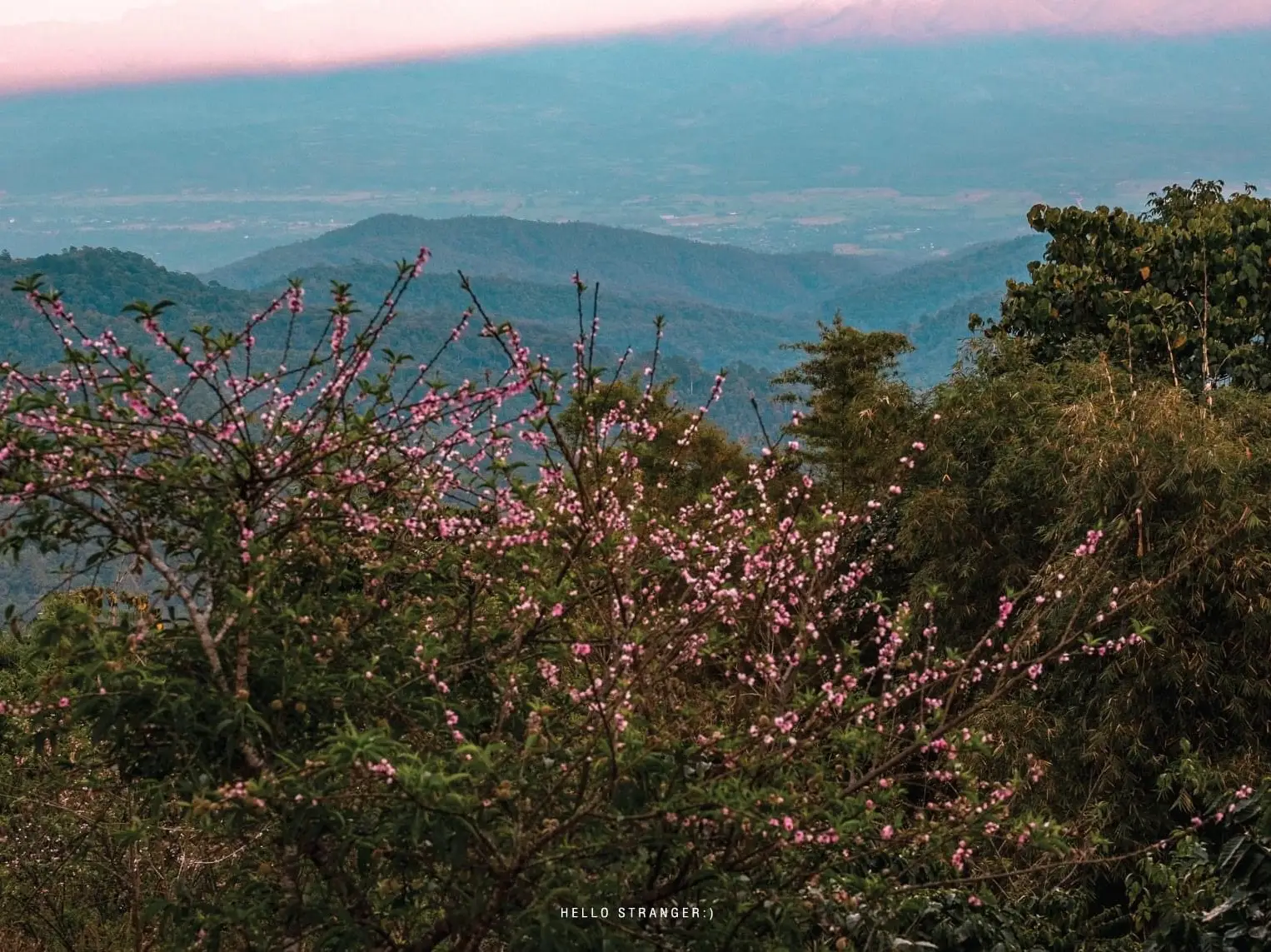กางเต็นท์ ชมวิวสวยๆ ที่สันป่าเกี๊ยะ จ.เชียงใหม่ | แกลเลอรีที่โพสต์โดย