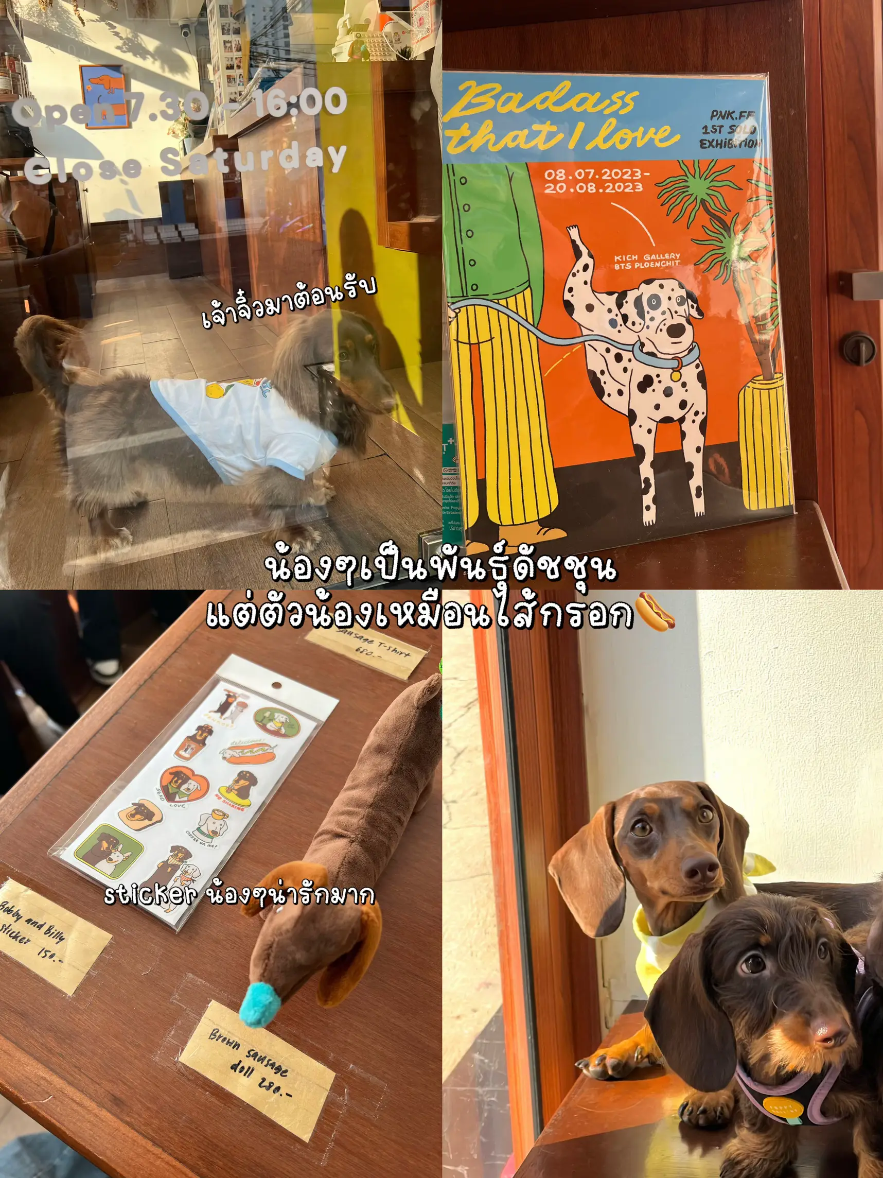 カフェ、犬、ソーセージ🌭🐶。奴隷は誰ですか、あなたは行かなければなりません!🥝 | เดียร์โบบา🧋が投稿したフォトブック |  Lemon8