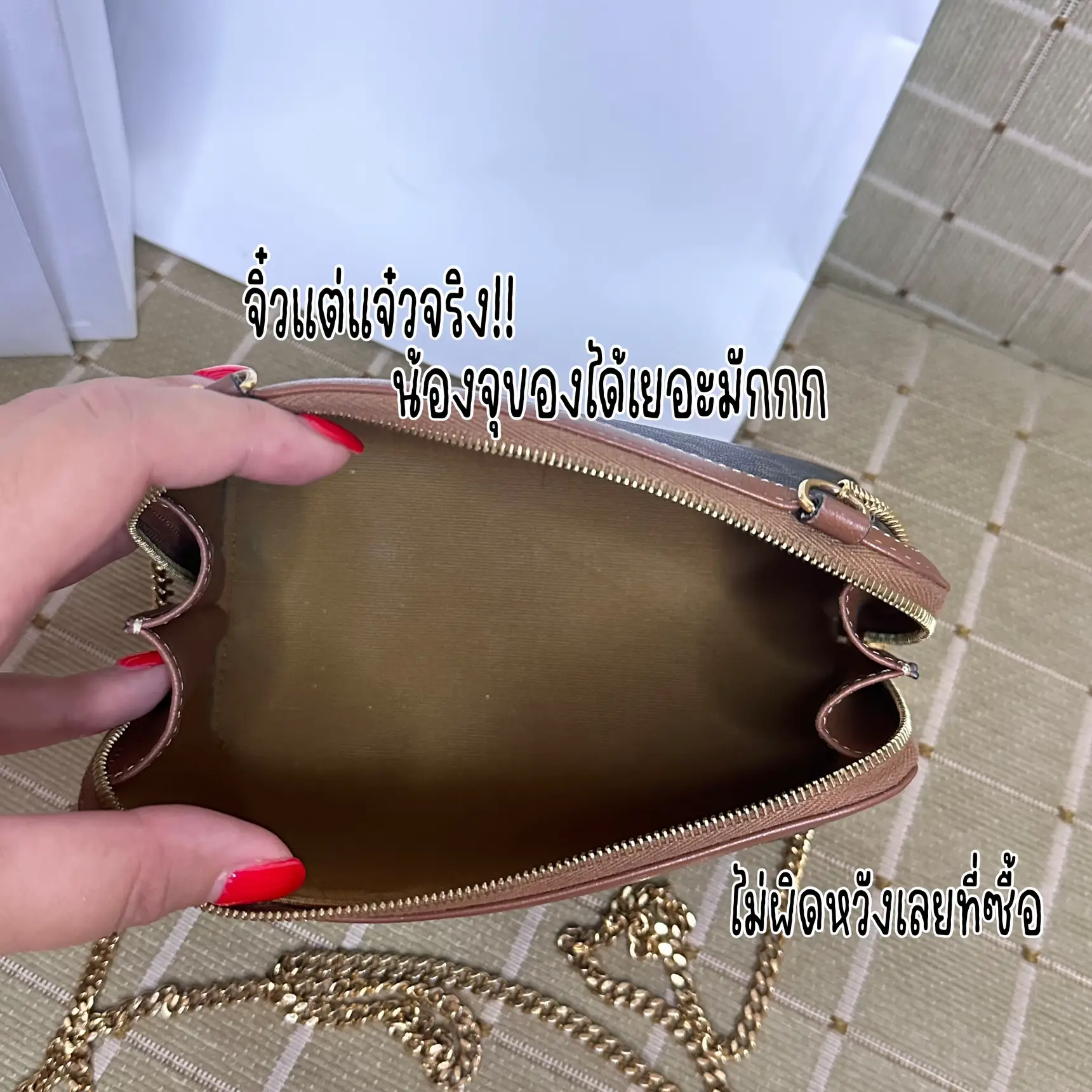 Is Celine Triomphe Wallet on Chain (WOC) worth it? 4 months review