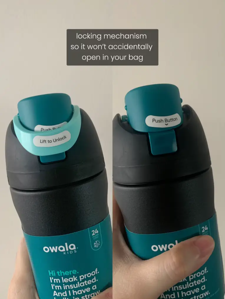 All the Owala Freesips lined up together (Plus the 40oz Tumbler) : r/Owala