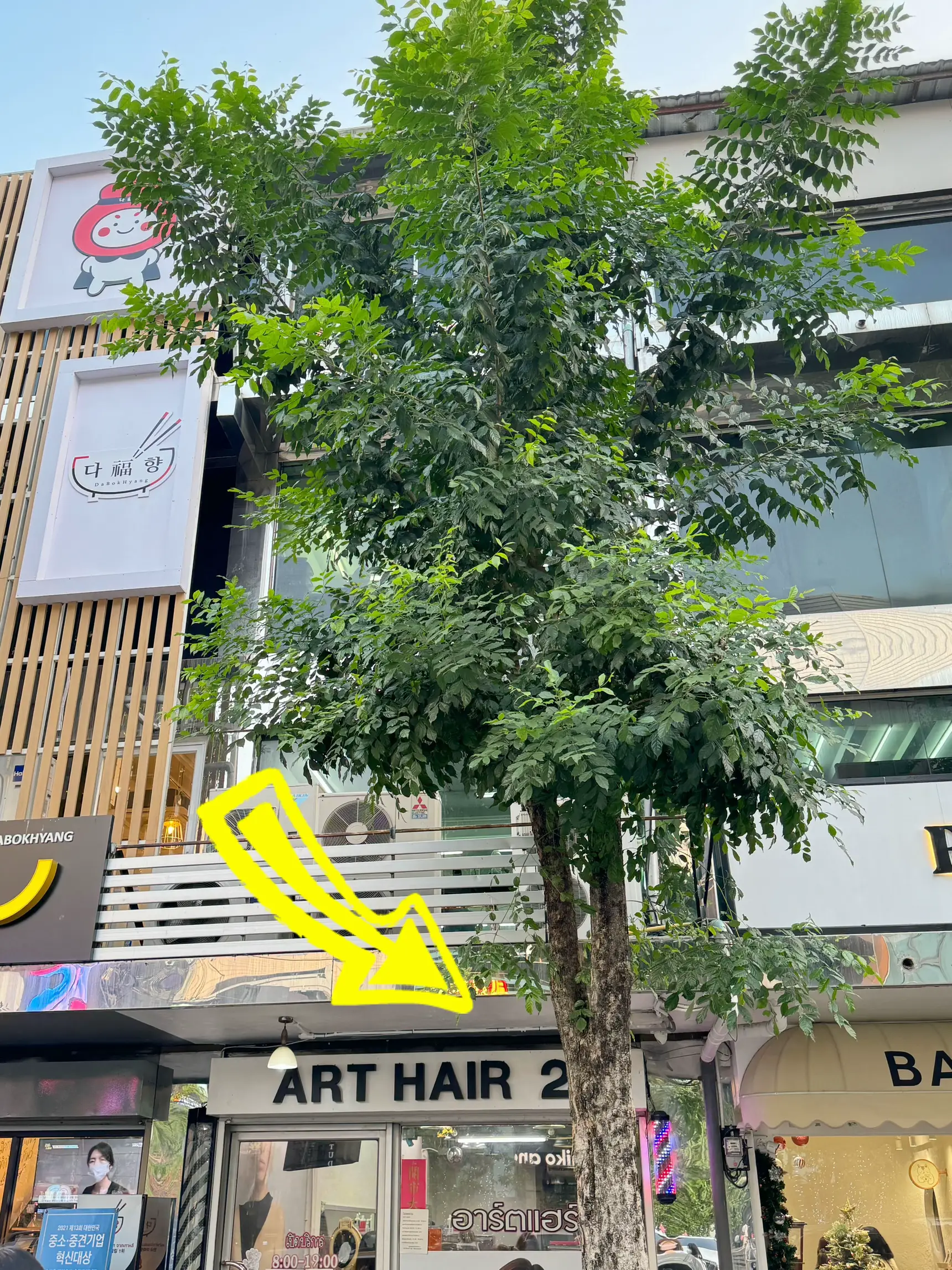 Art Hair 2 Siam การค้นหาใน Lemon8