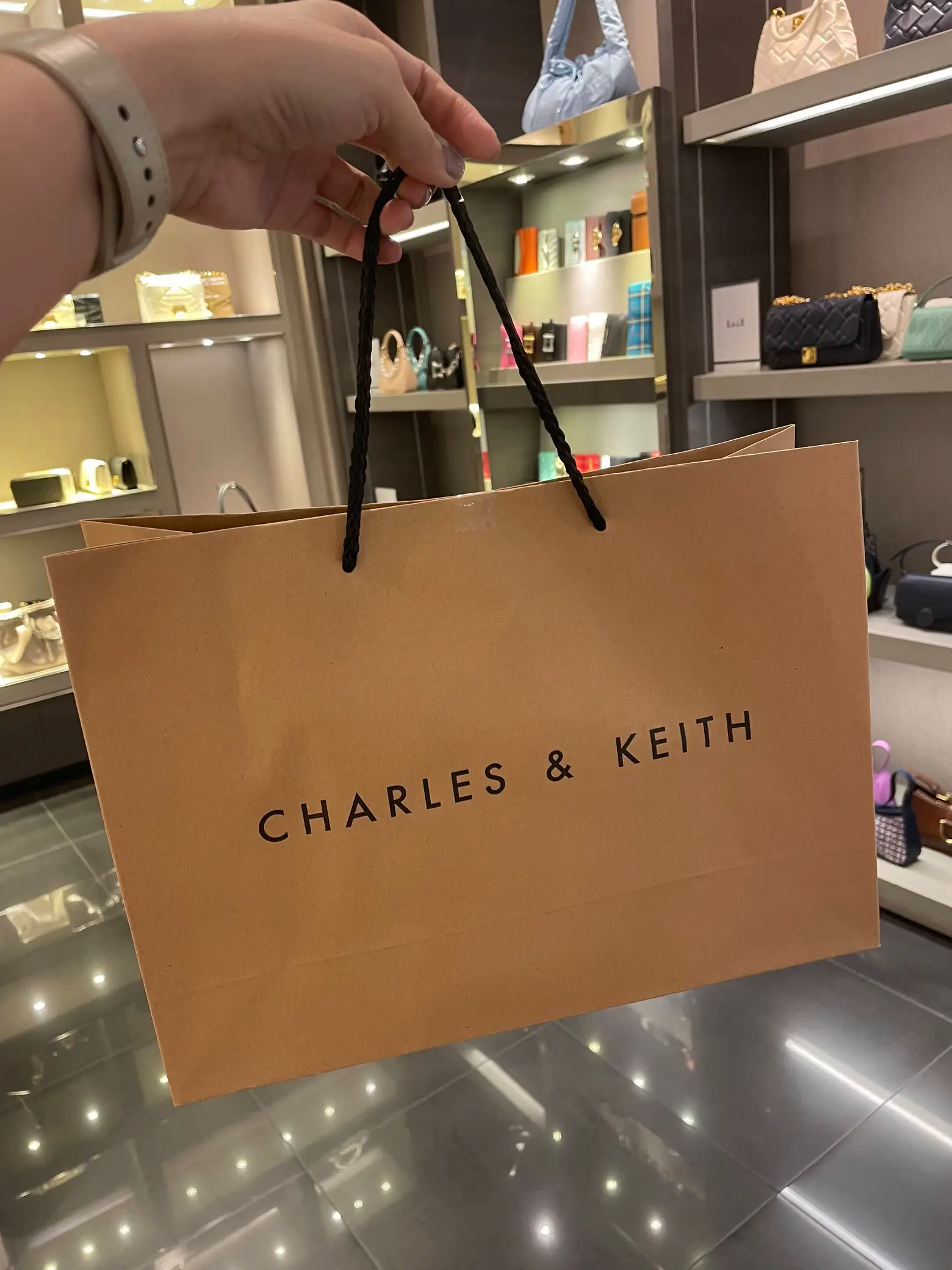 Paper bag charles discount and keith original