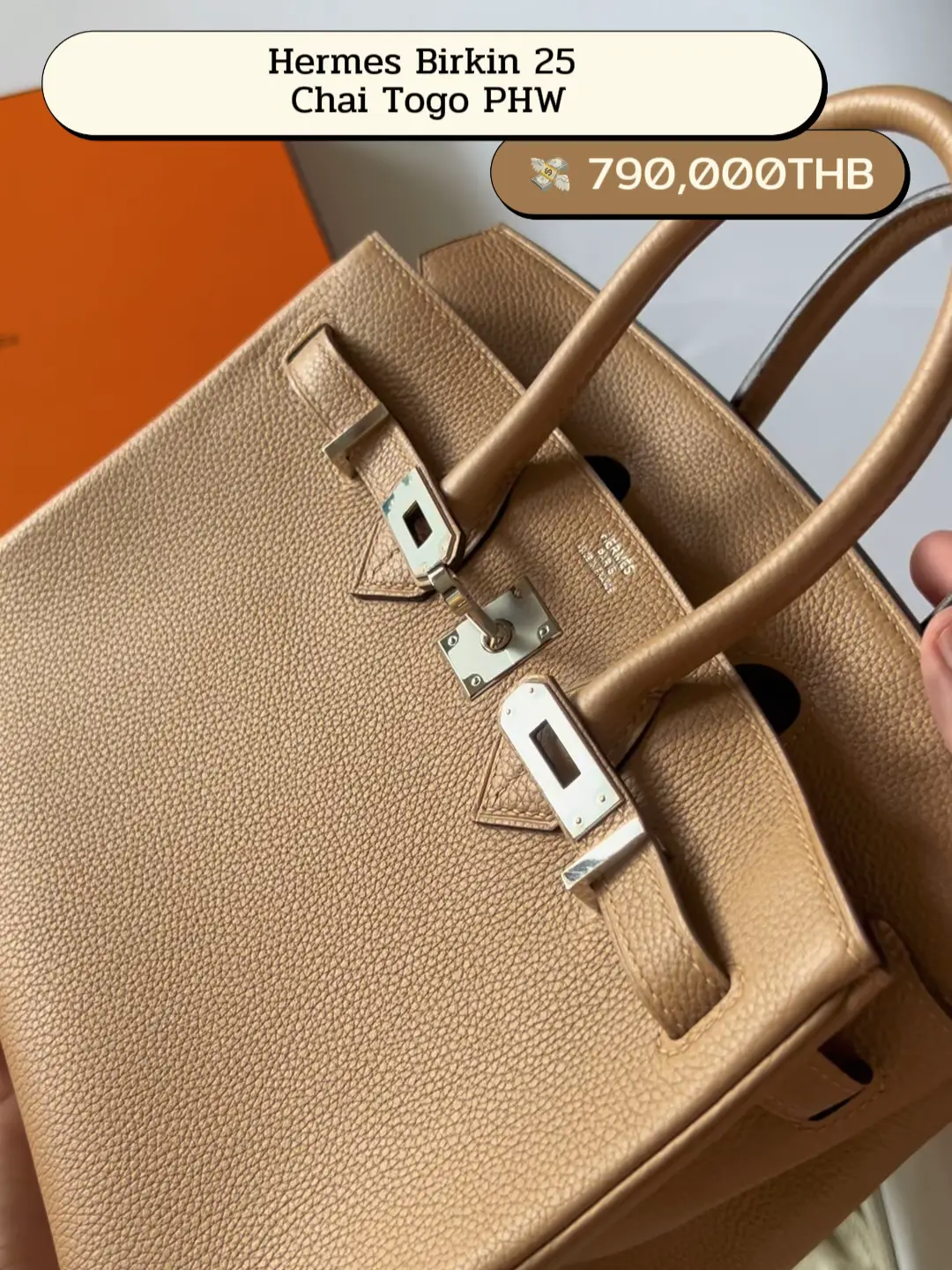 Birkin 25 Chai in Togo Leather with Gold Hardware