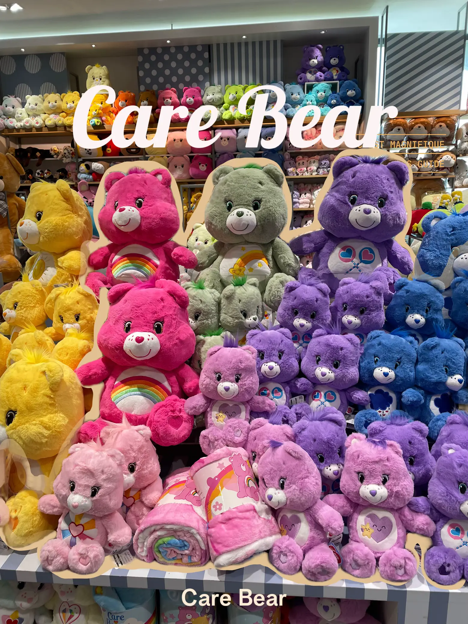 CARE BEARS COLLECTION – Preppy Pop®