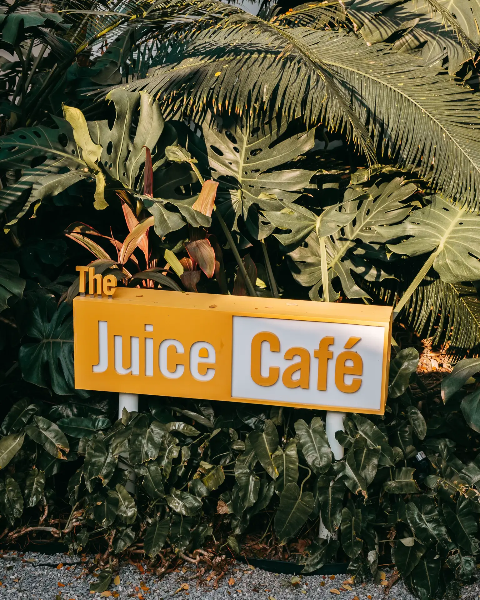 The Juice Café ในโรงแรม The Standard, Hua Hin ☕️🍰 Gallery posted by Rattomarty Lemon8