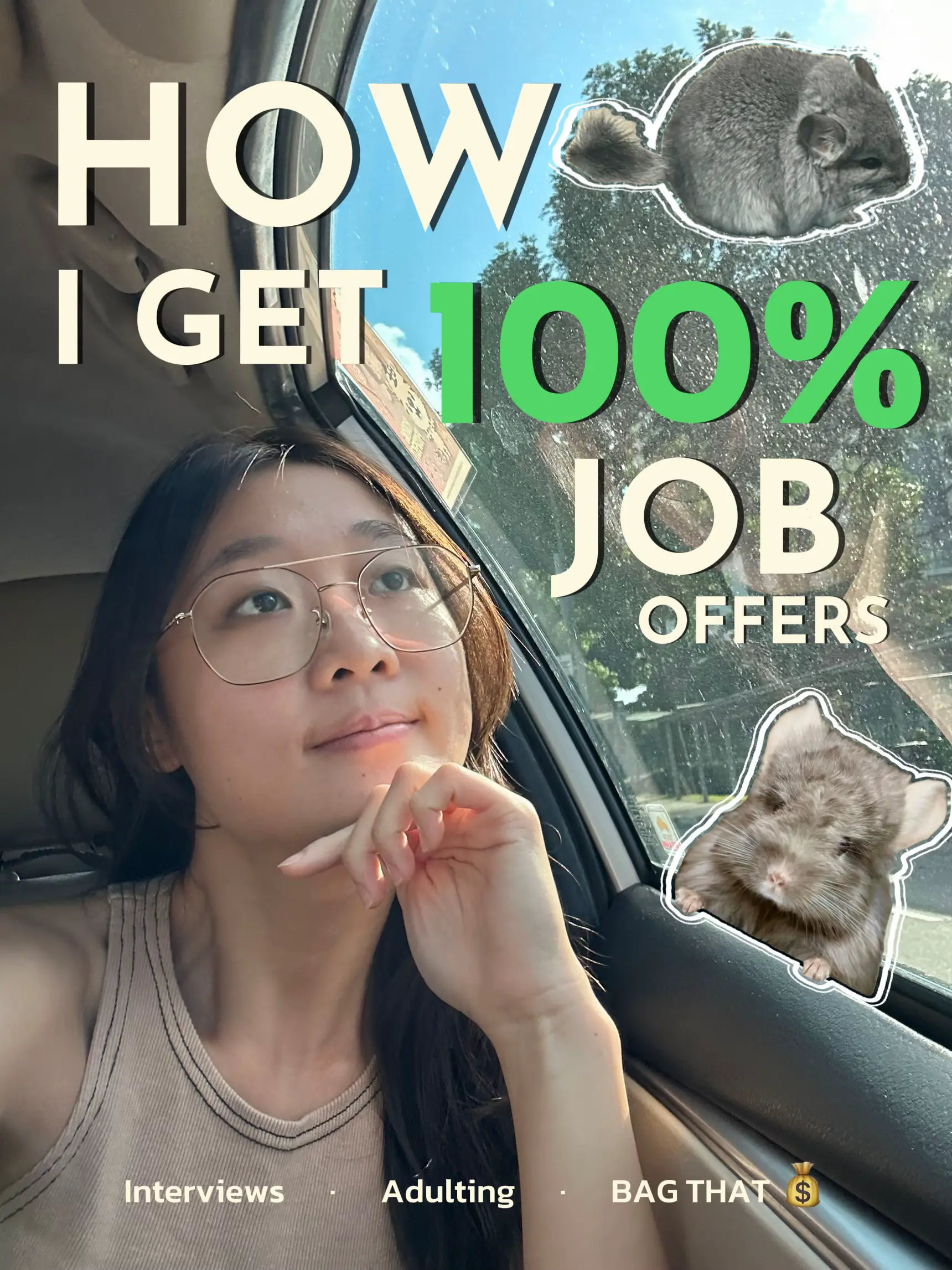 How I get 100% offers from job interviews ✨'s images(0)