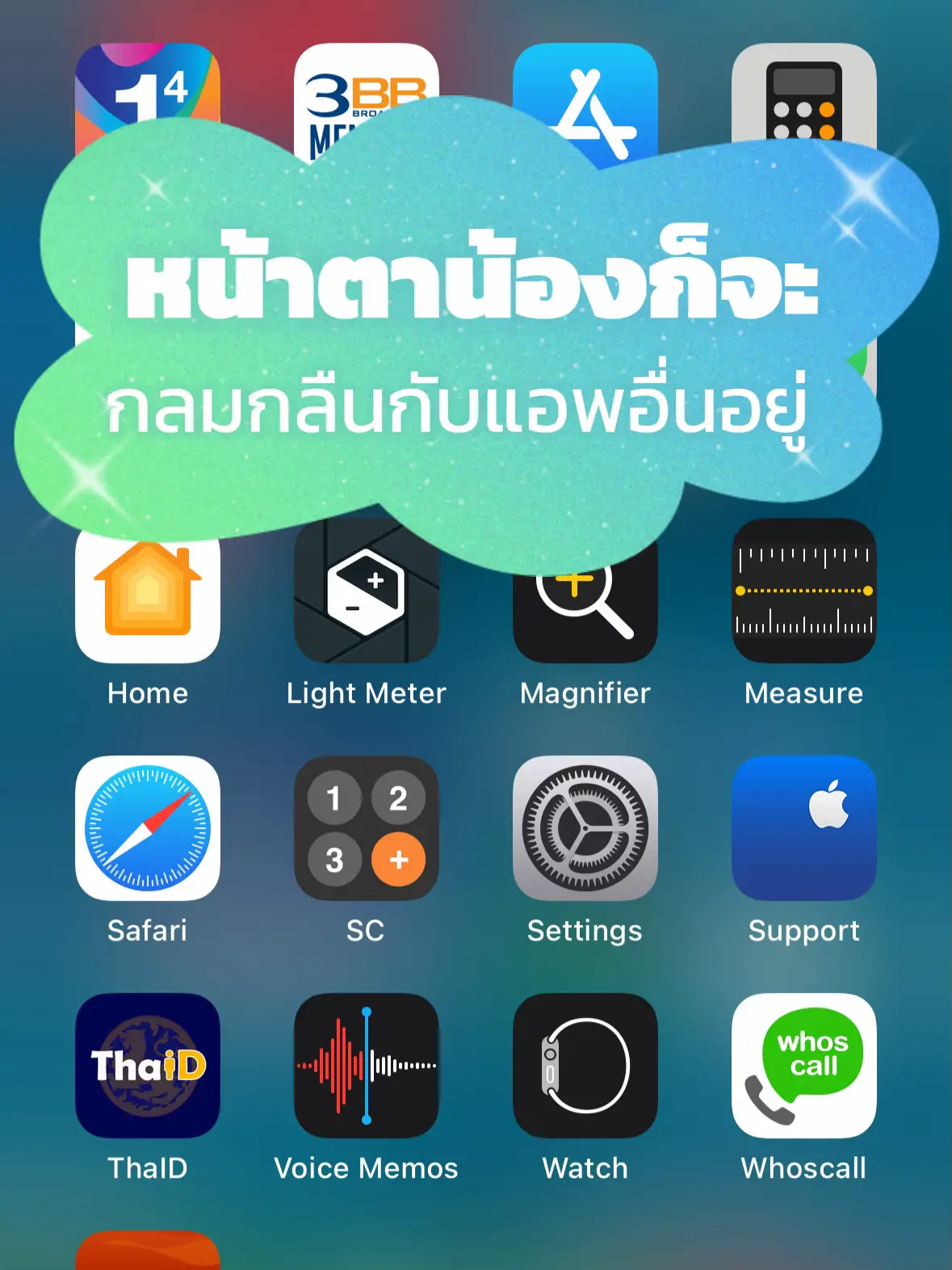appsheerun
