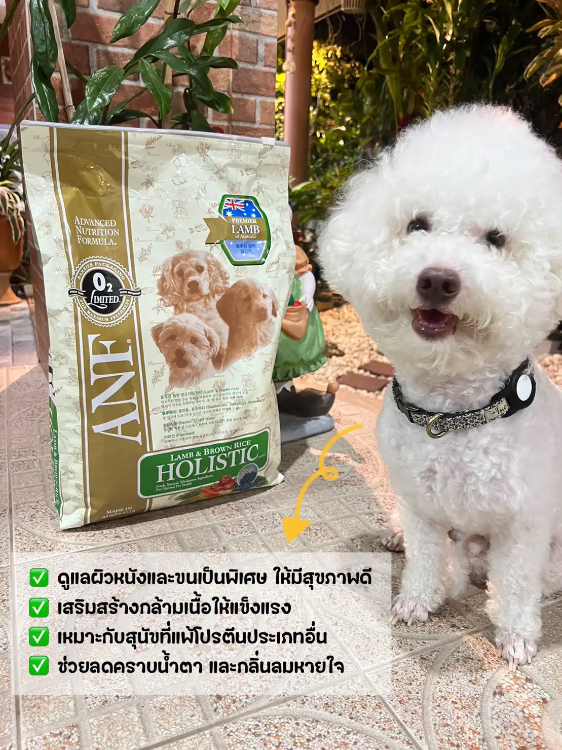 Anf holistic outlet dog food