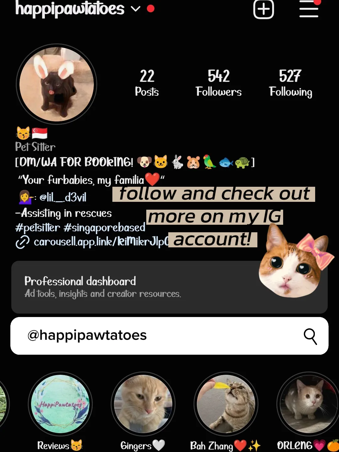 LOOKING FOR A PET SITTER FOR YOUR FURBB? แกลเลอรีที่โพสต์โดย Shi Min