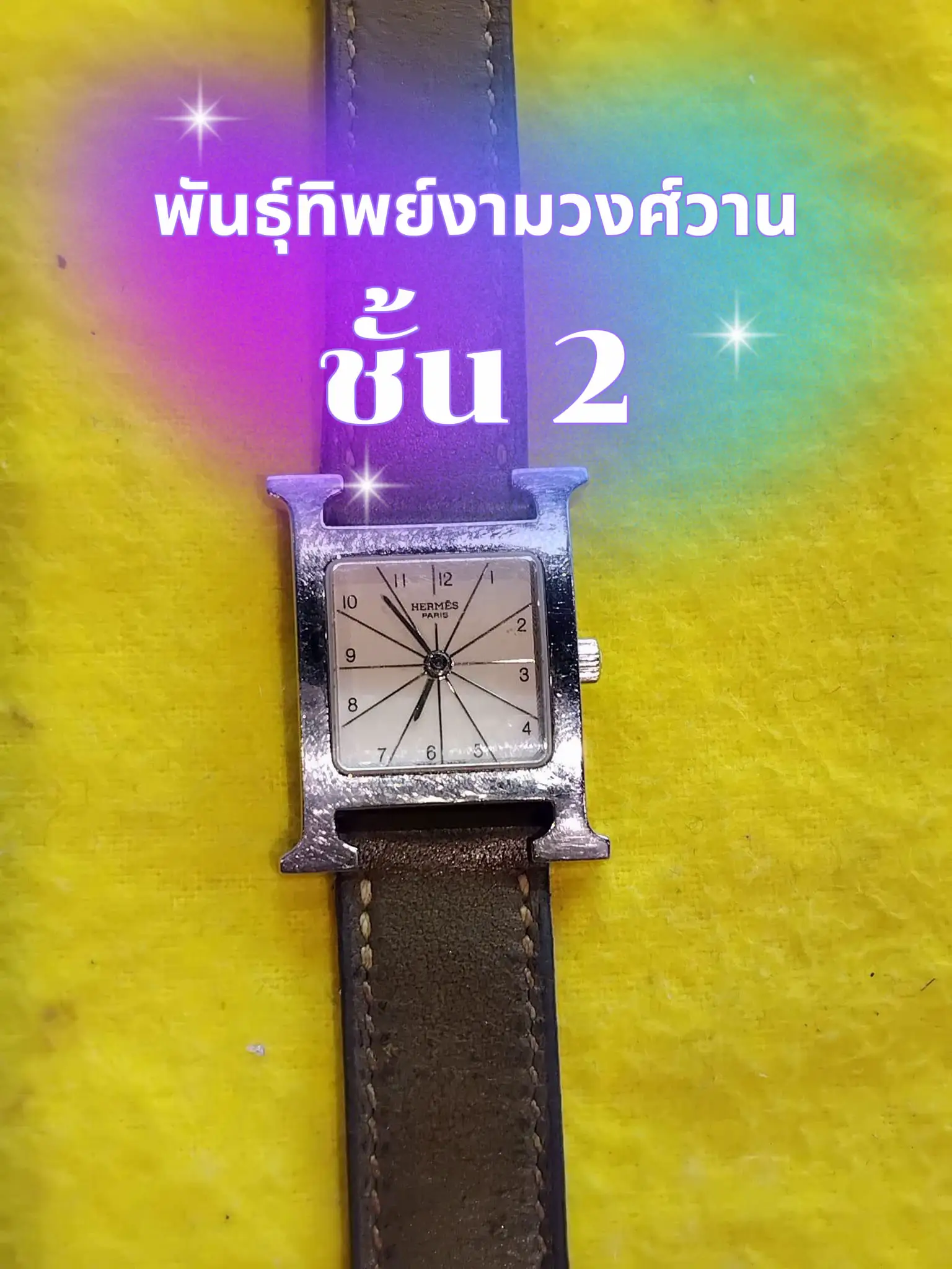 Hermes 2024 watch repair