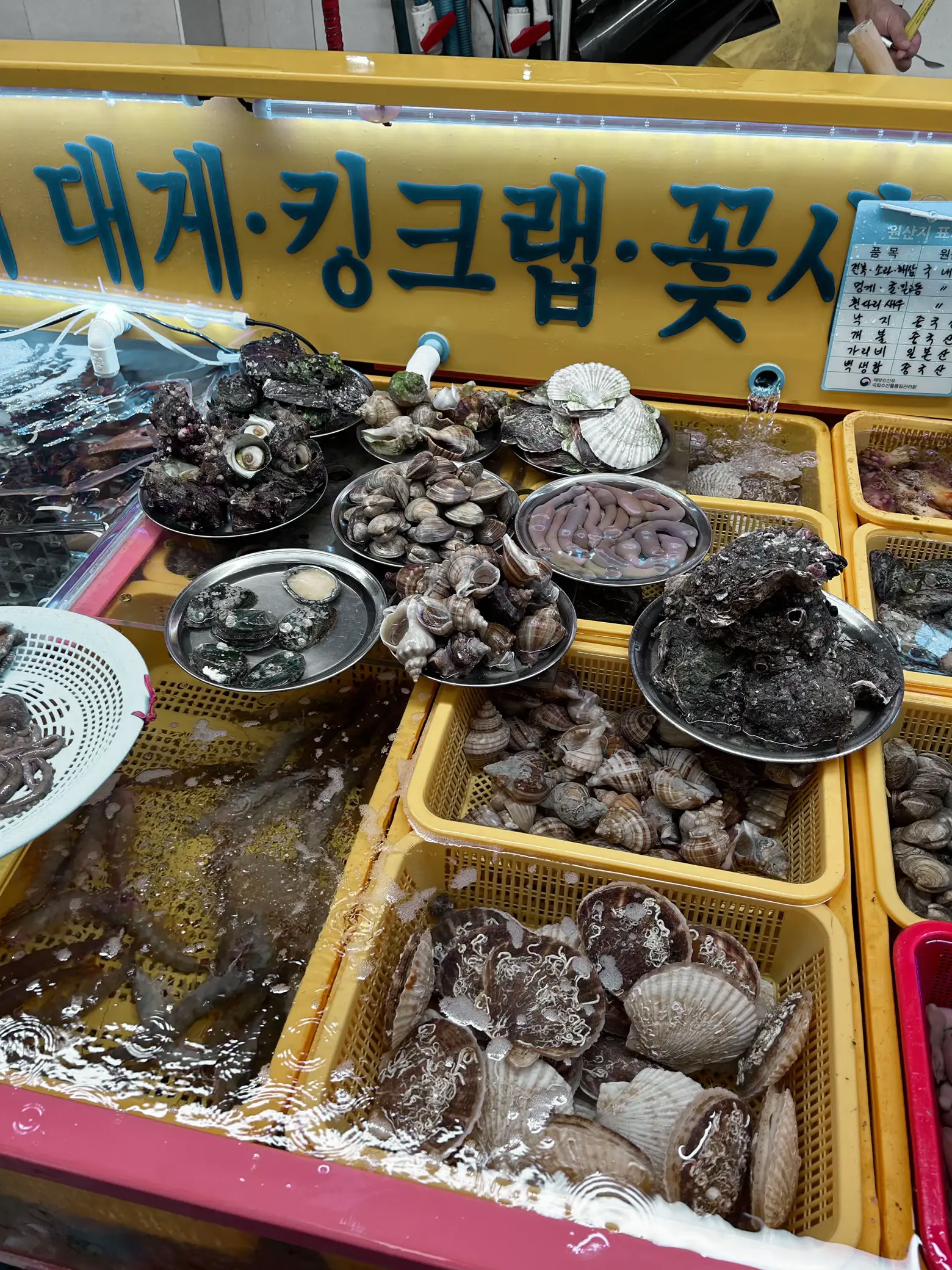 🦀 Freshest Seafood in All of Busan | Gallery posted by lynn.c | Lemon8