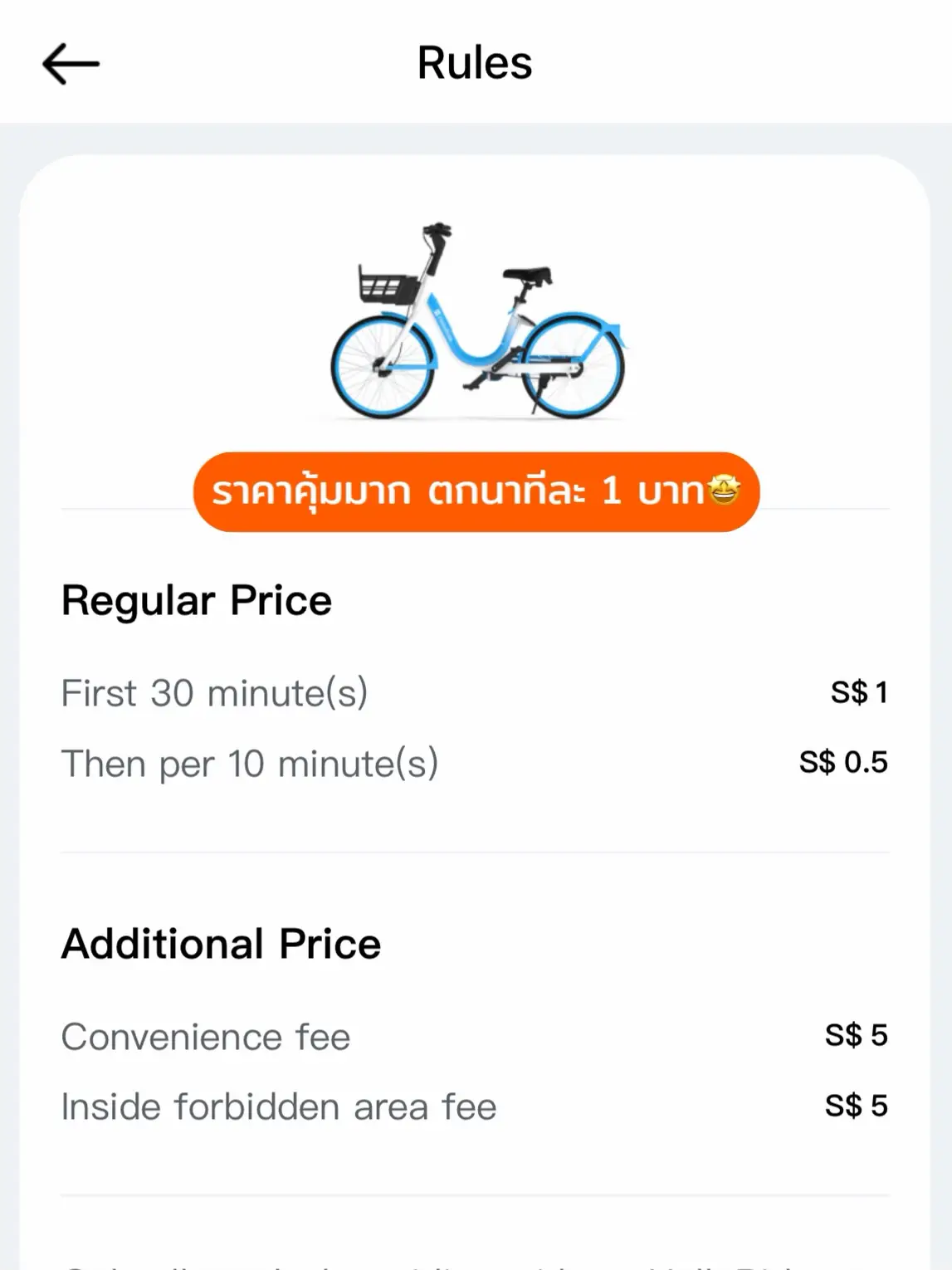 review-of-how-to-rent-a-bike-ride-out-singapore-single-post-finish