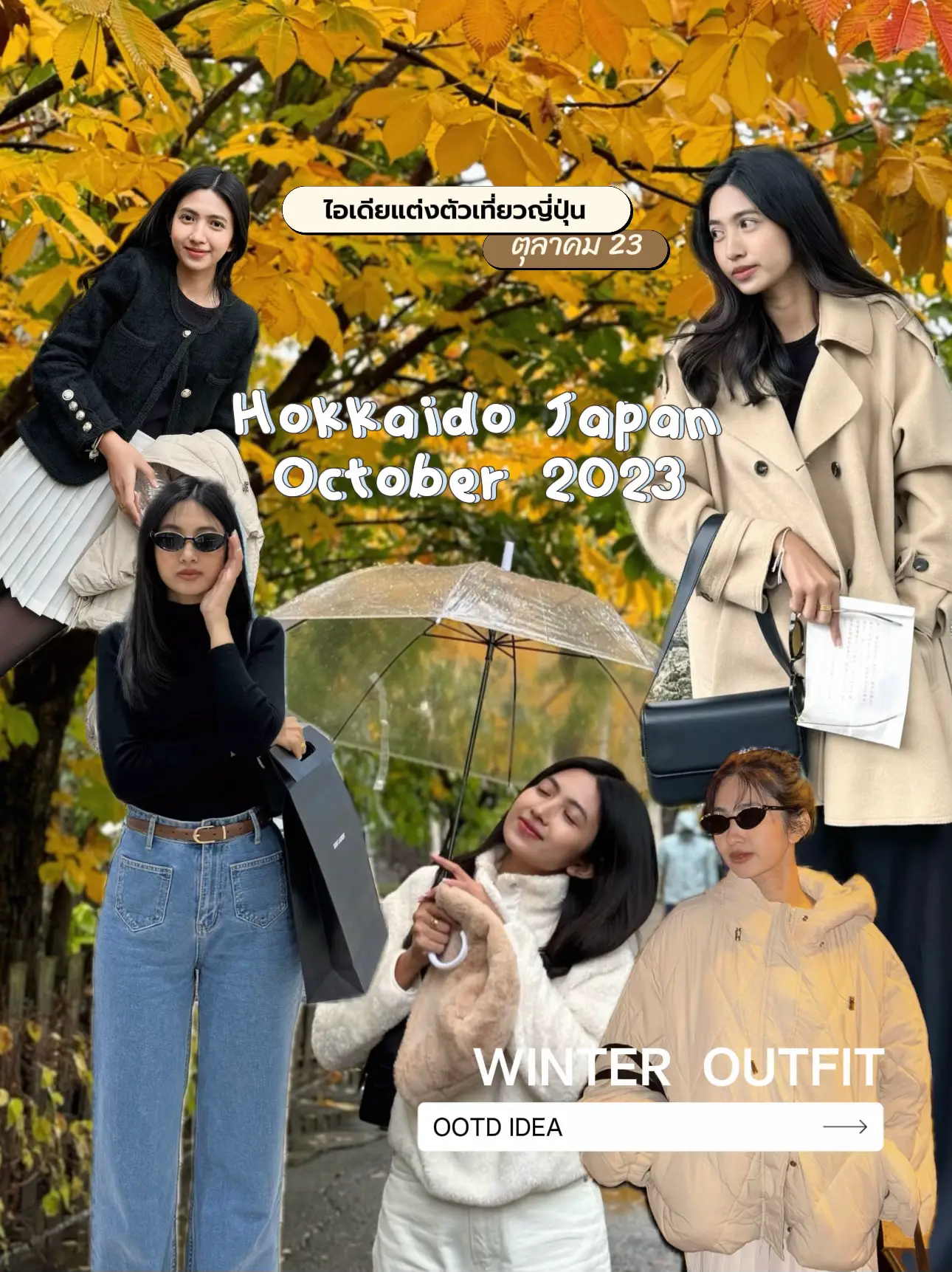 WINTER OUTFIT (JAPAN) แกลเลอรีที่โพสต์โดย Chom_na Lemon8