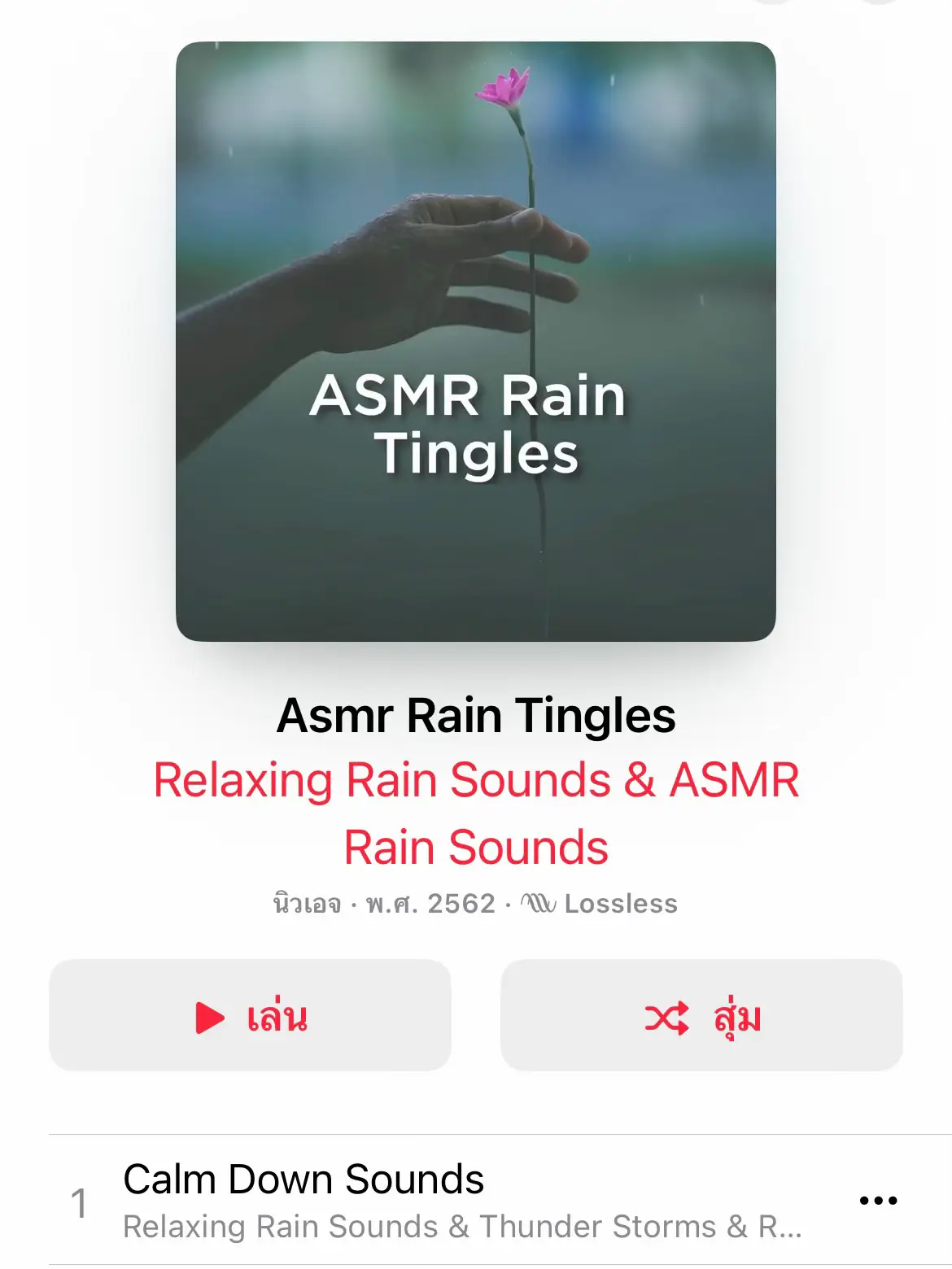 Give away the rain sound playlist from apple music. 🌧️☔️ | Gallery posted  by ห้องสมุดฤดูหนาว | Lemon8