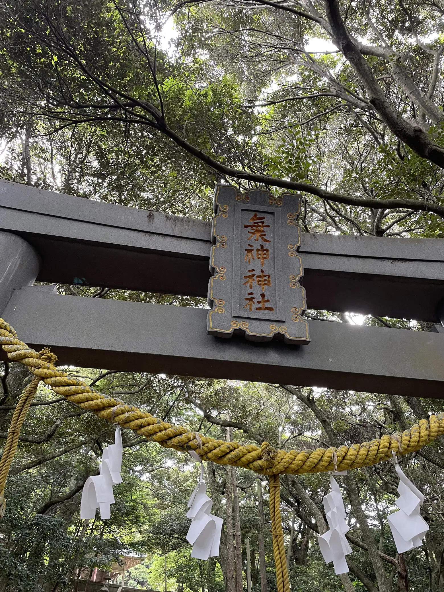 対馬一宮 海神神社御朱印 - 印刷物