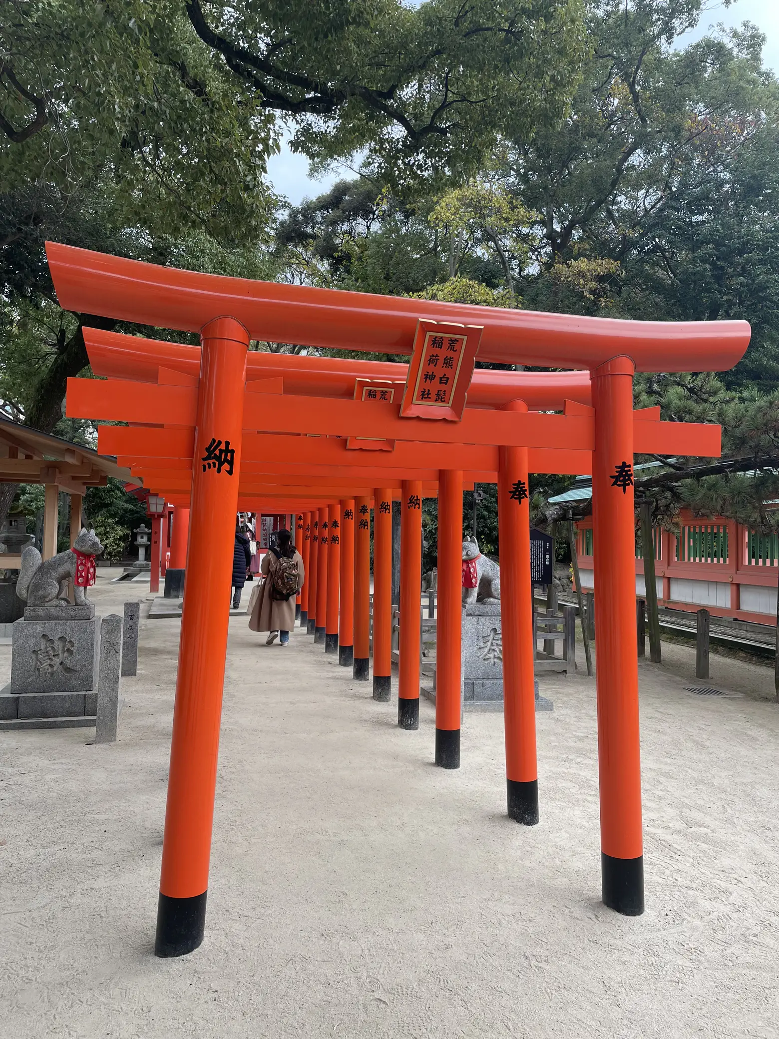 筑前国一宮 筥崎宮・住吉神社⛩️ | 星ピーが投稿したフォトブック | Lemon8