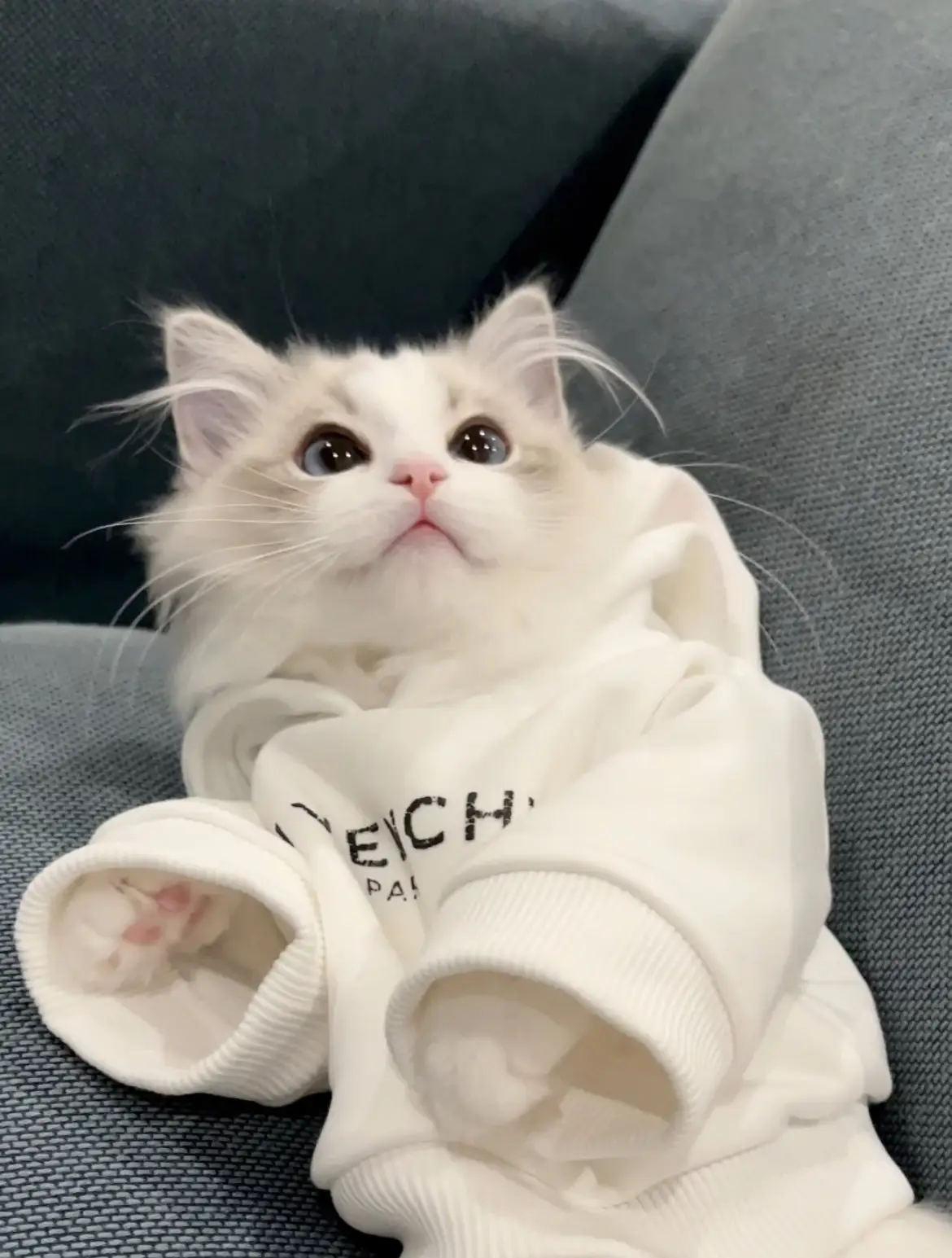 ☆リボン・フリル・ドレス・キラキラ・ジャンピング猫・チャーム☆ ☆リボン・フリル・ドレス・キラキラ・ジャンピング猫・チャーム