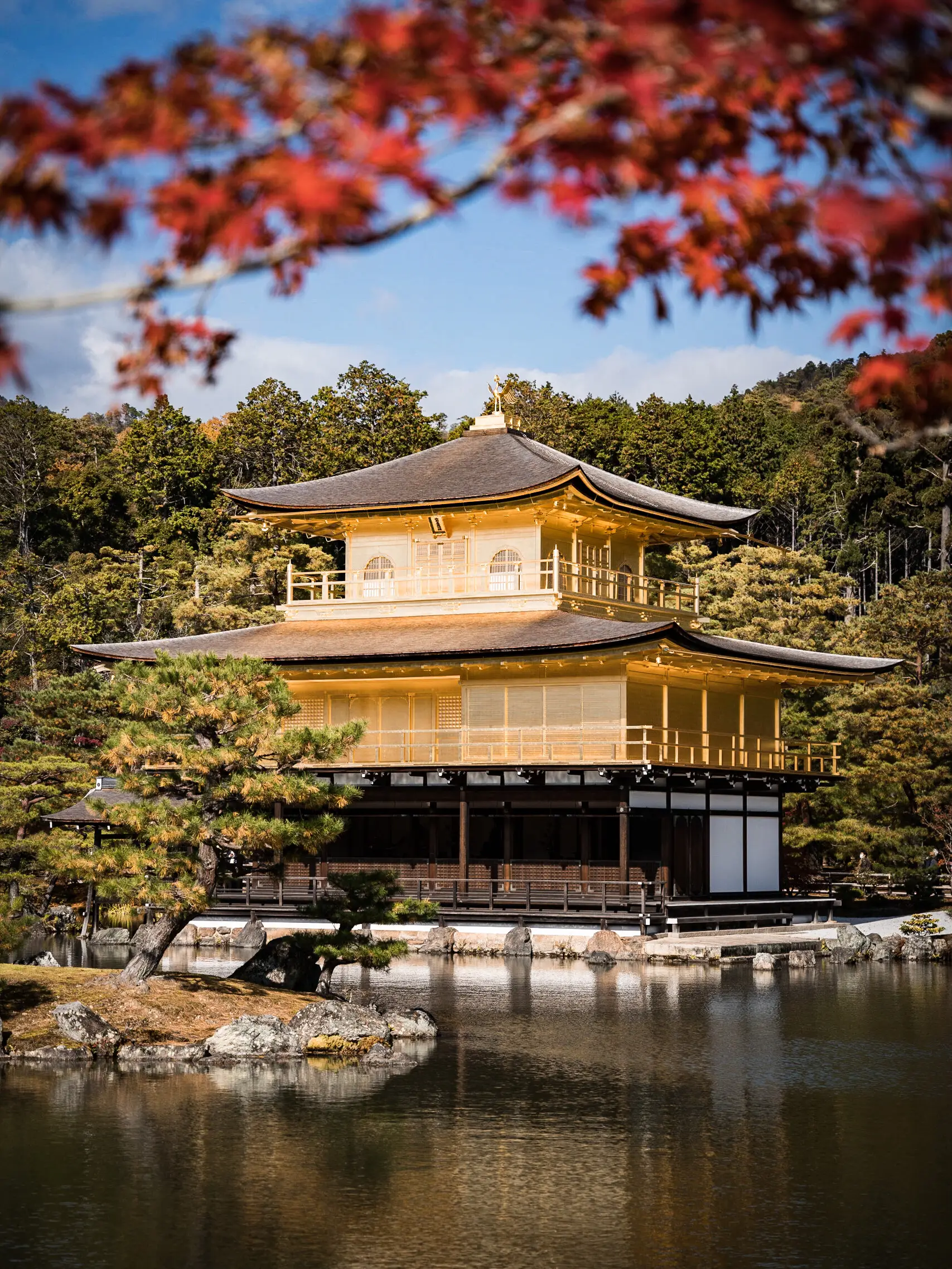 京都】秋の金閣寺 | ebi_timesが投稿したフォトブック | Lemon8