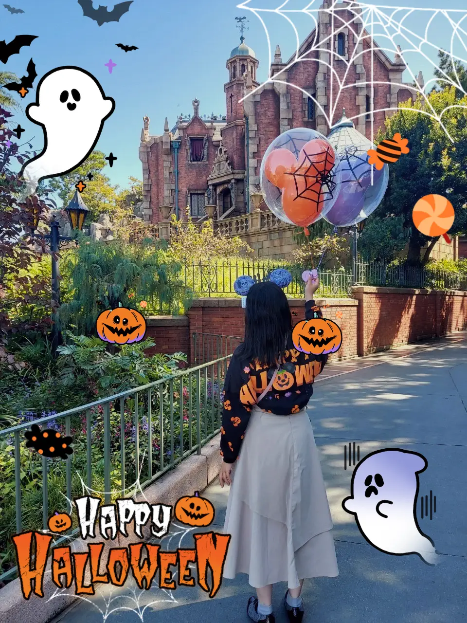 東京ディズニーランド トゥーンタウンオープン記念パスポート 未