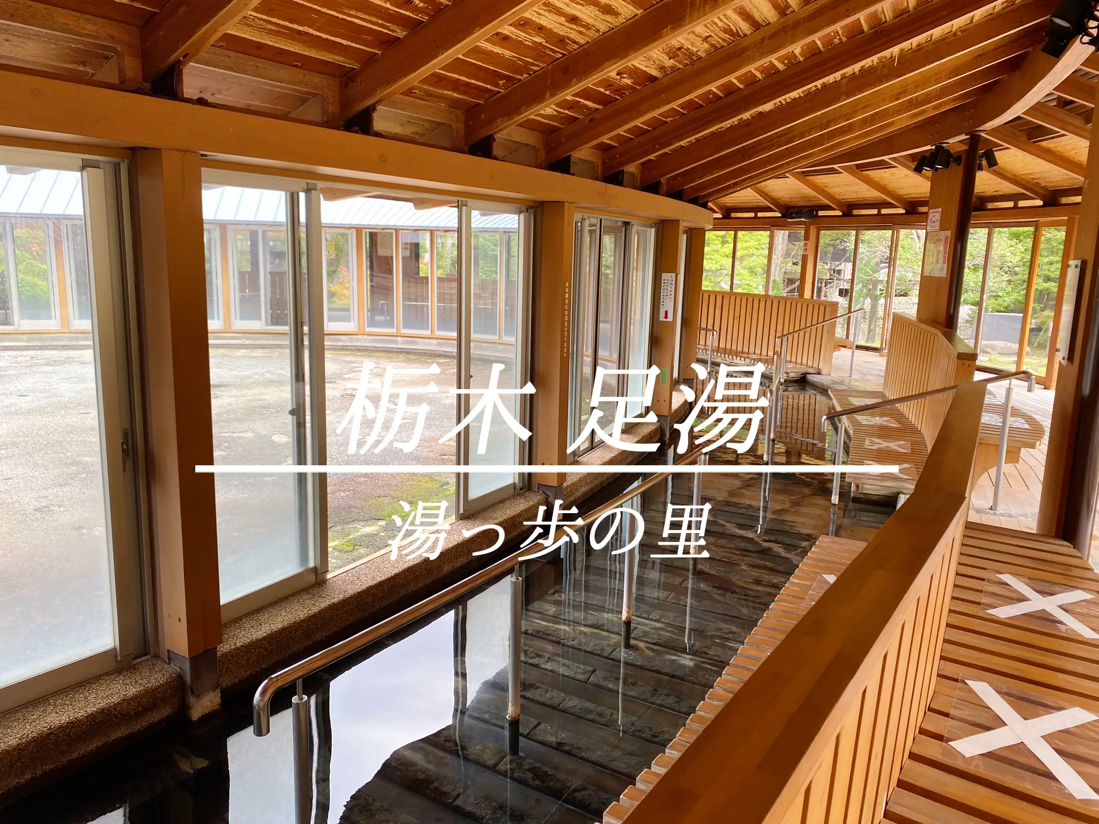 2箱！スカイ祭りローラー中長毛 早い者勝ち 妬く