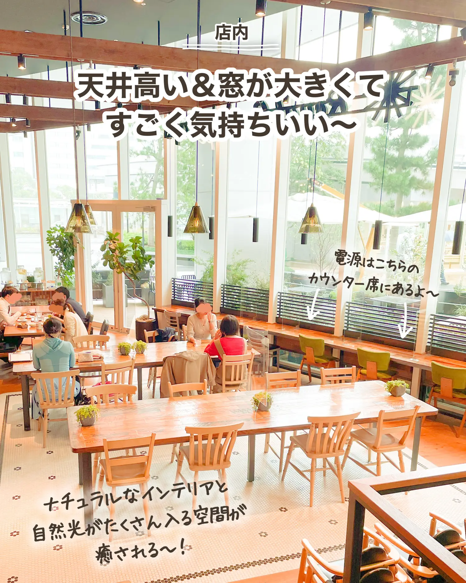 豊洲】実は〇〇がいい！？階段のあるカフェ♡Royal Garden Cafe & TAVERN |  しおR焙煎士🥨東京カフェ紹介が投稿したフォトブック | Lemon8